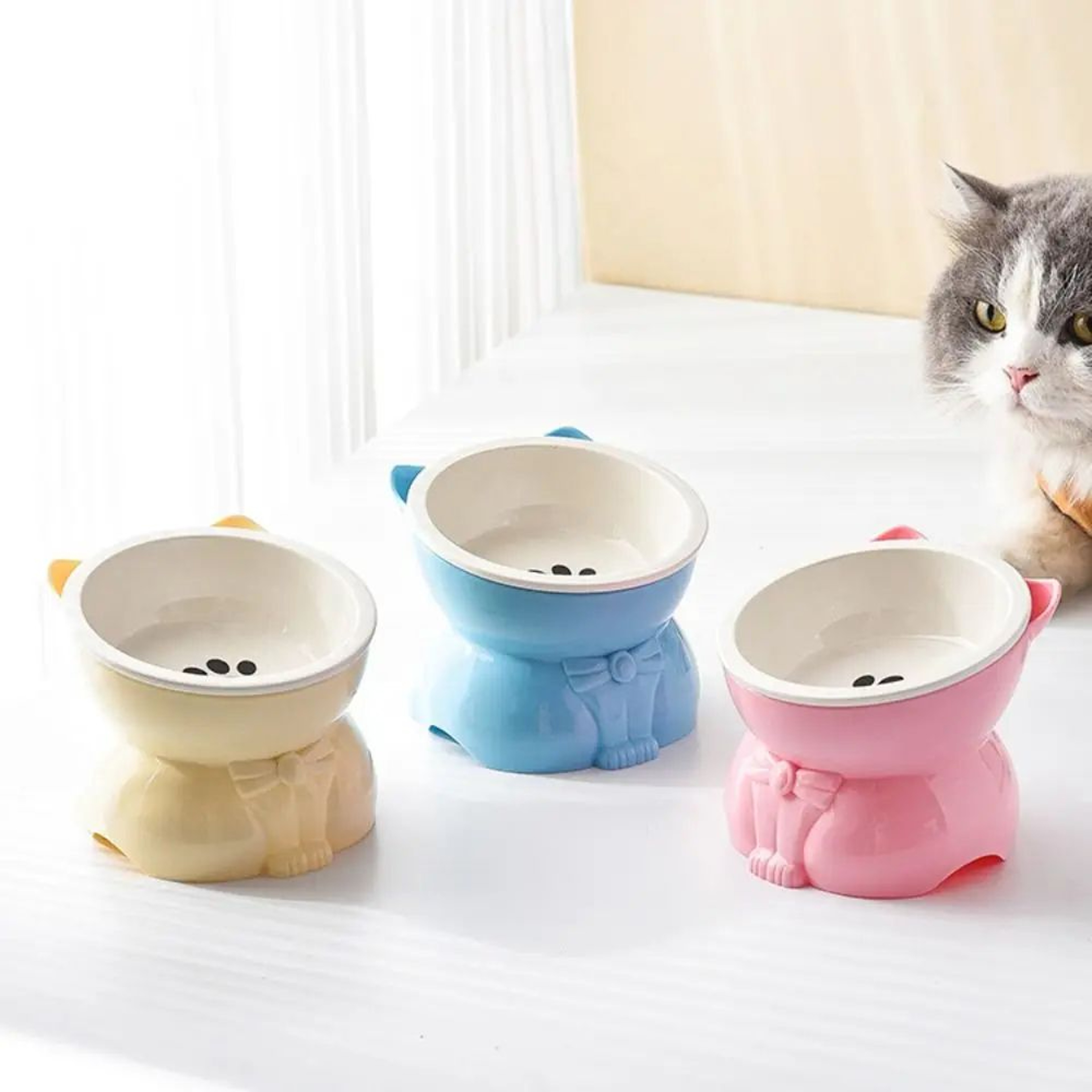 Slanted Ceramic Cat Bowl NonSlip Elevated Pet Feeder 4