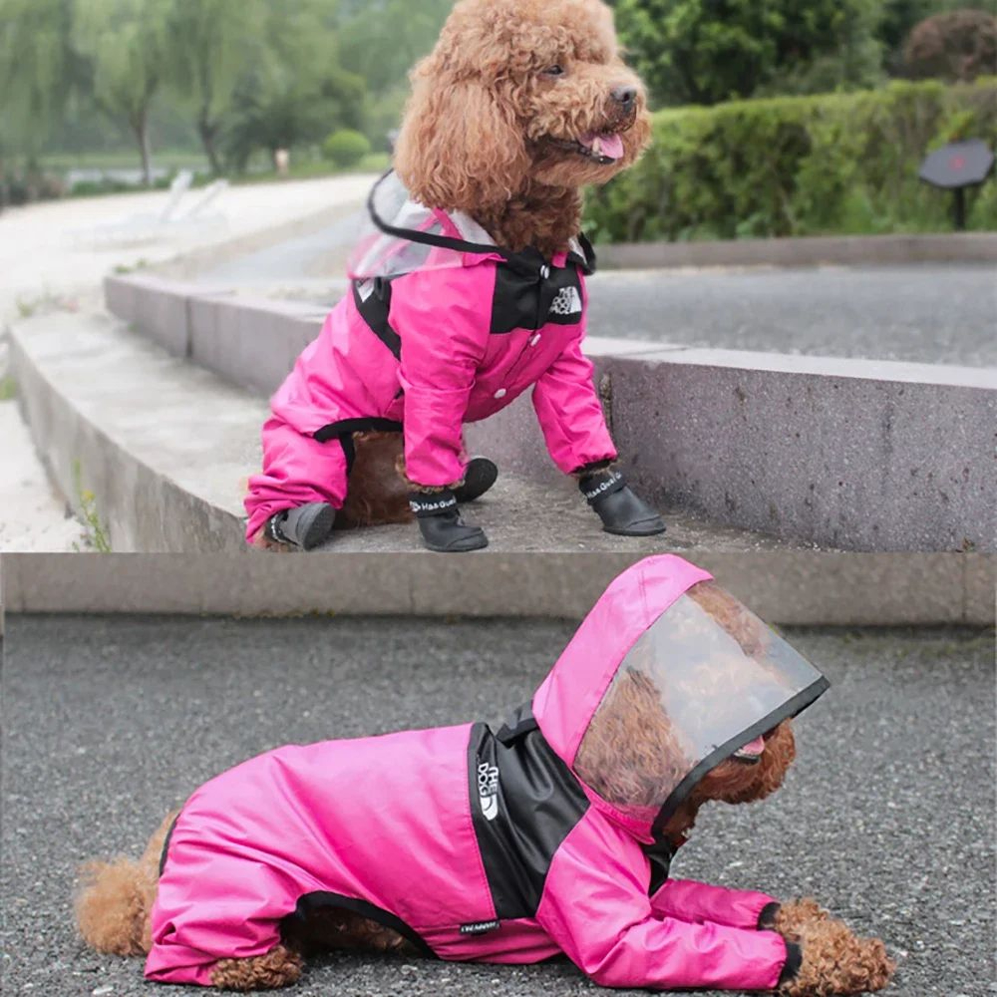 ClearView Waterproof Dog Raincoat With Transparent Hood 5