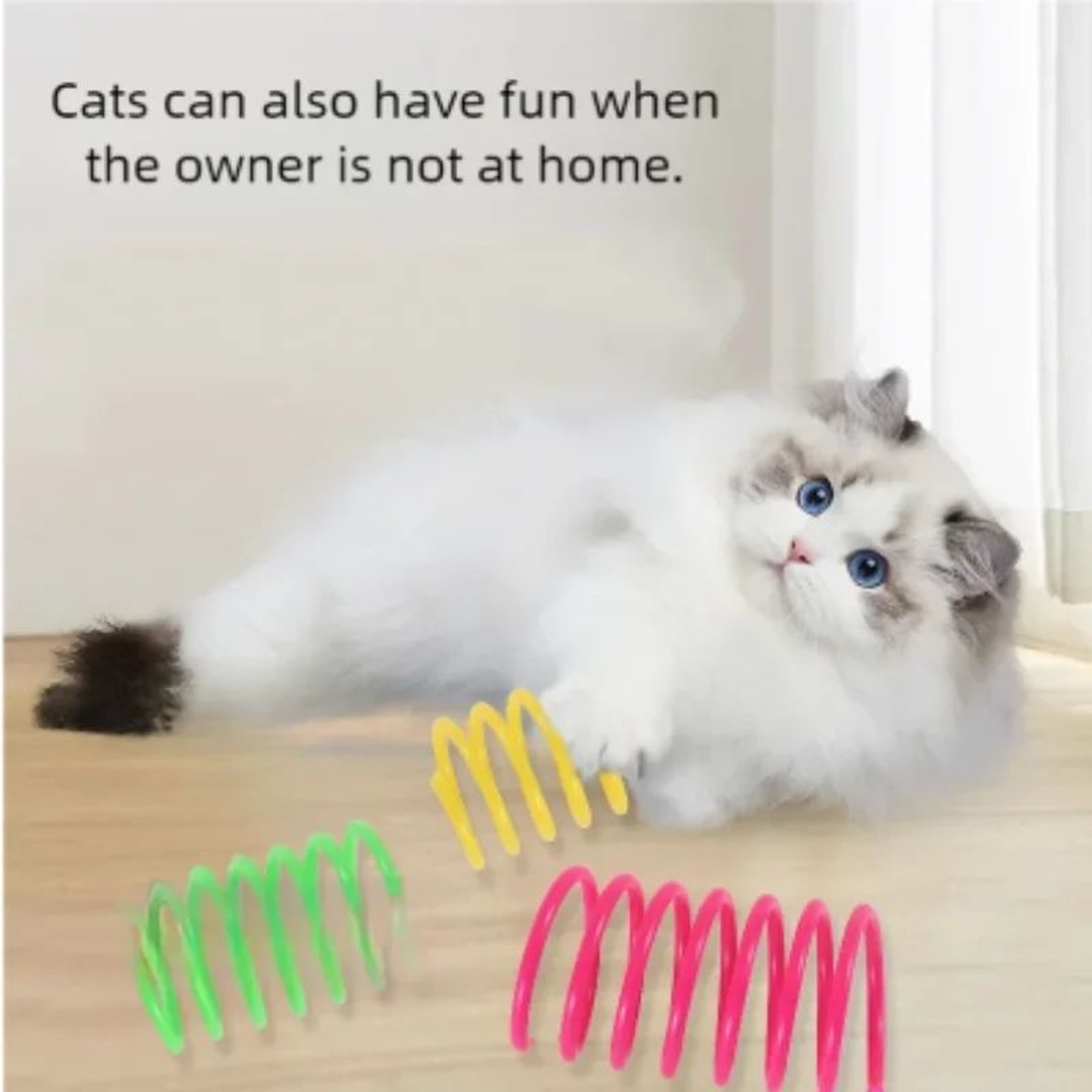 Colorful Cat Spring Toy Set For Indoor Chase And Swat Play 4