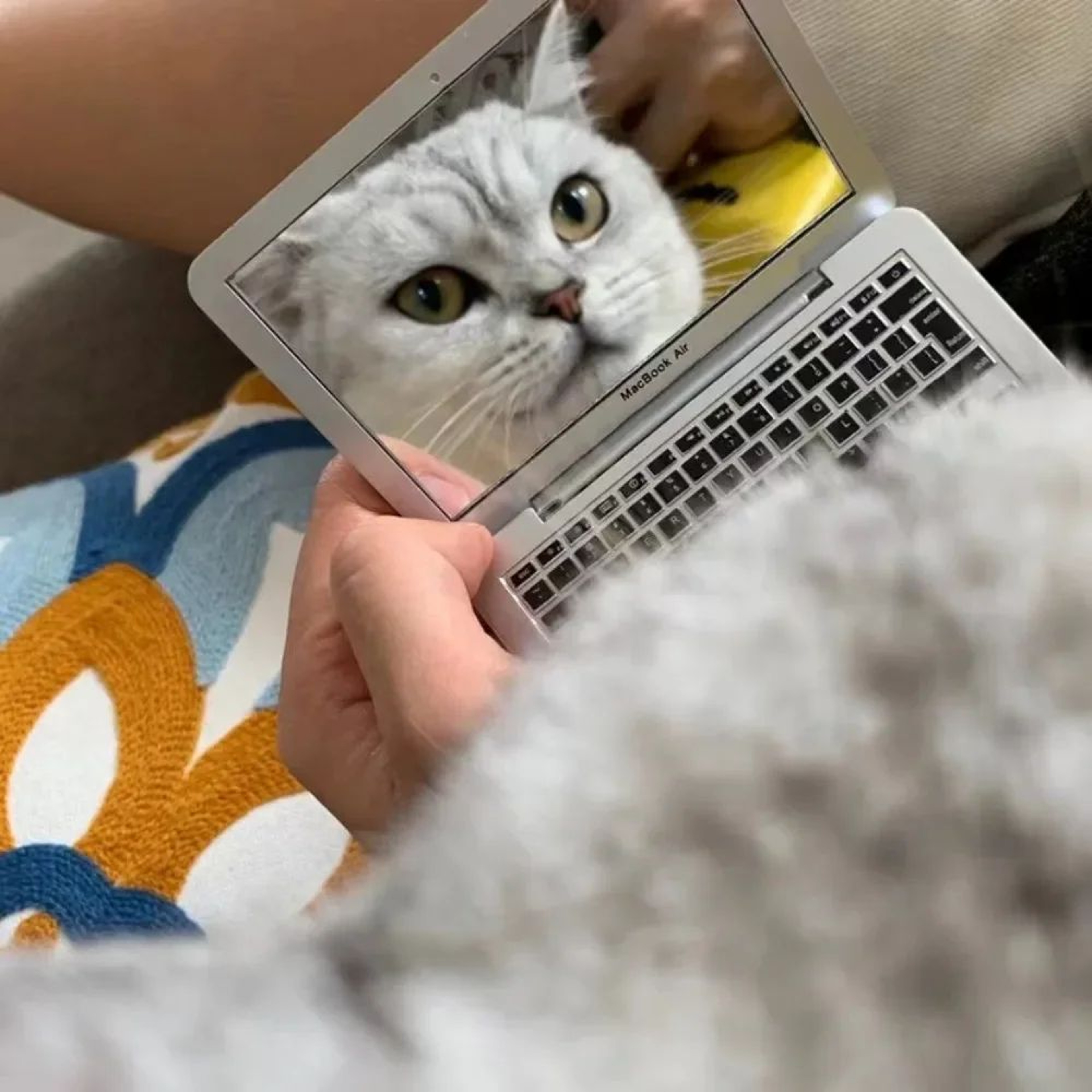 Mini Cat Laptop Toy With Mirror For Playful Kittens 3