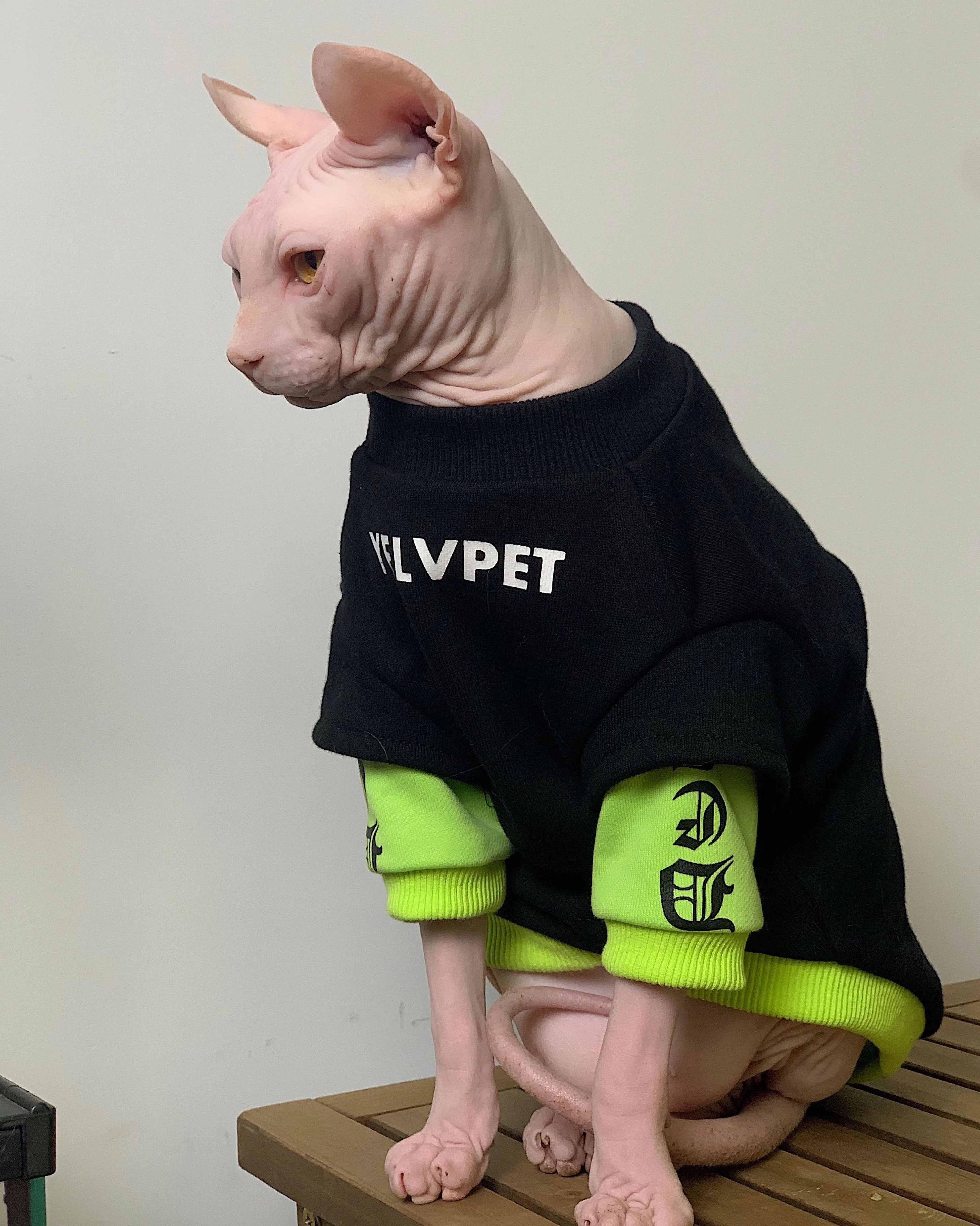 Cozy Cotton Sphynx Cat Sweatshirt For Winter Warmth 2