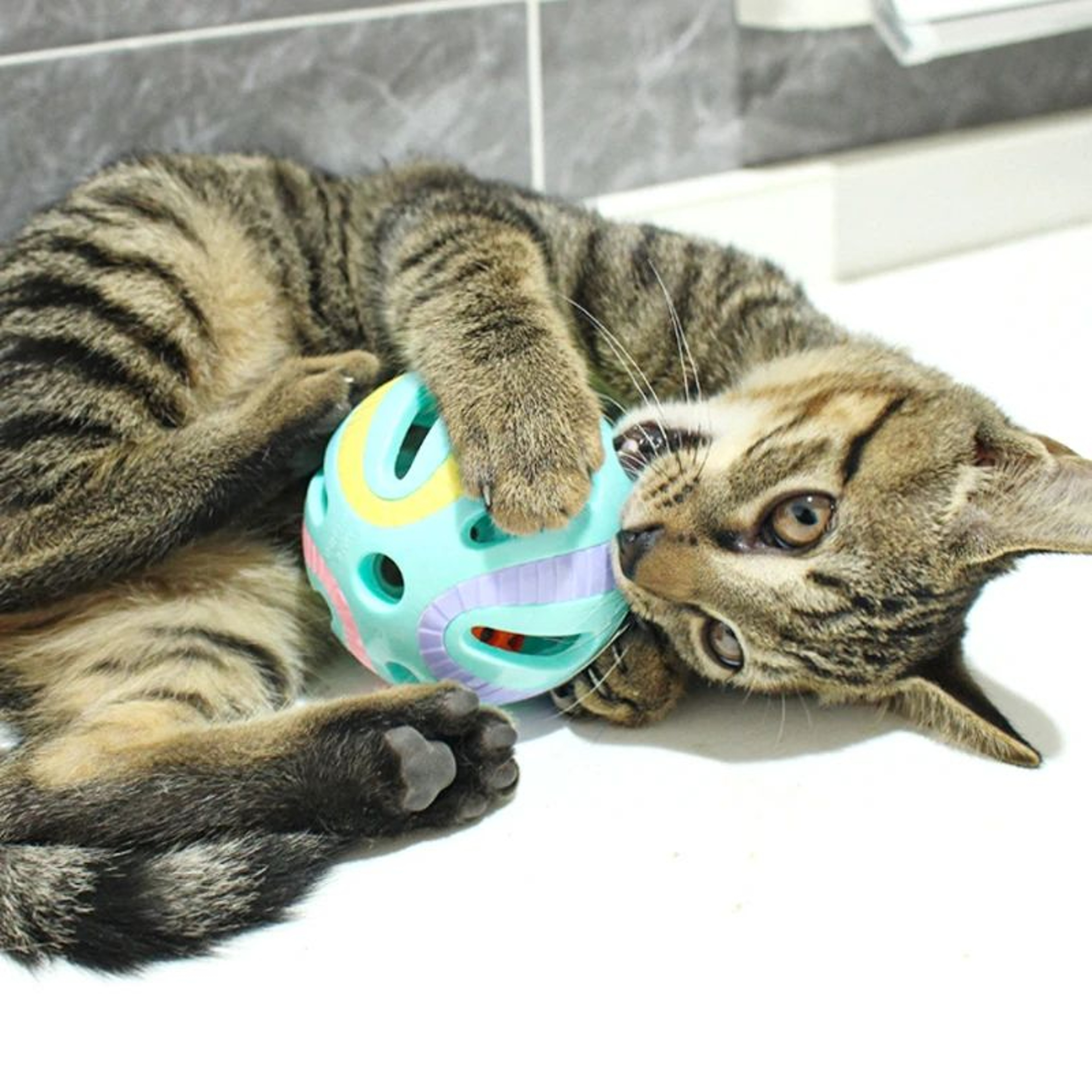Colorful Bell Ball Interactive Cat Toy For Kittens 2