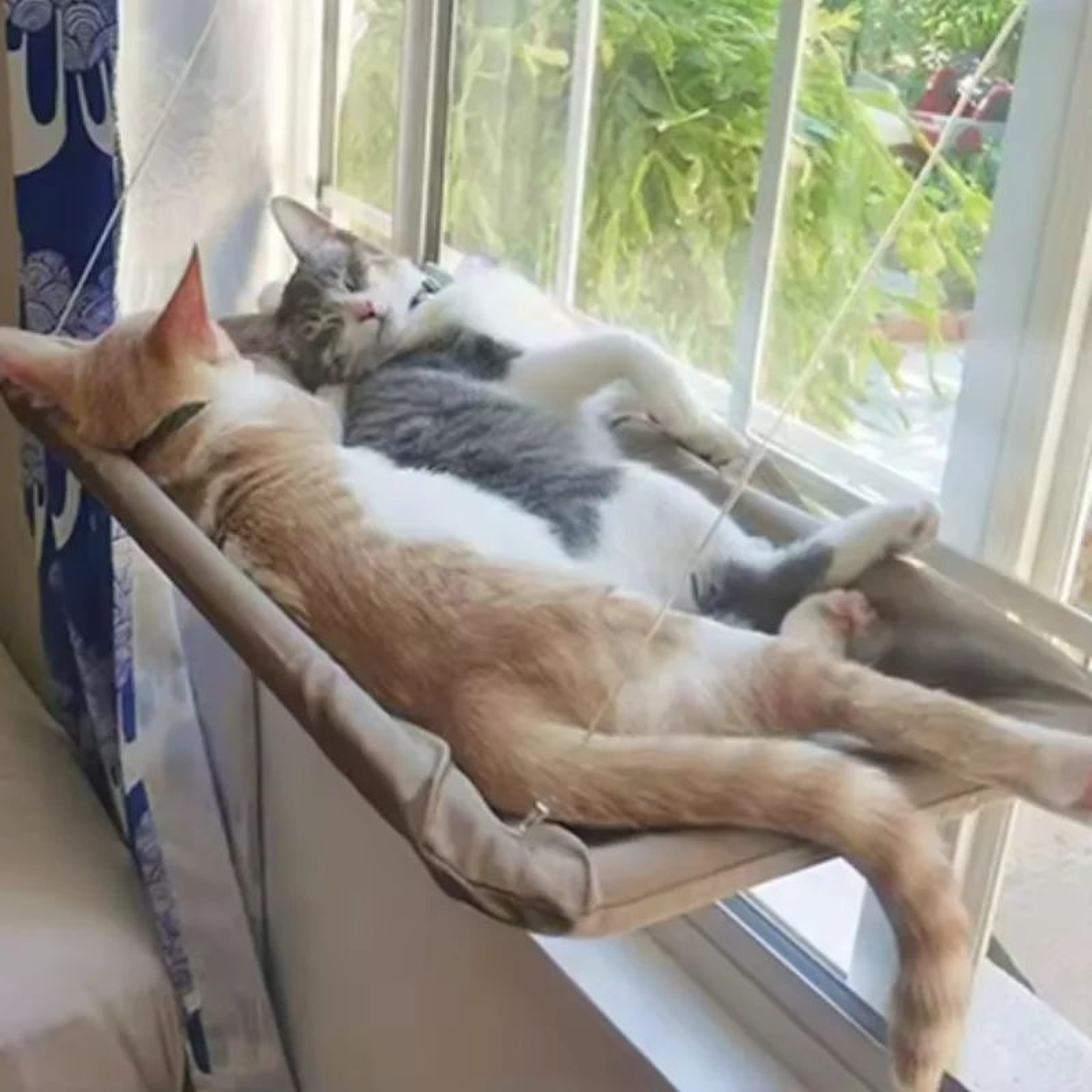 SunView Deluxe Cat Window Hammock  HeavyDuty Window Perch For Cats With 20kg Capacity 0