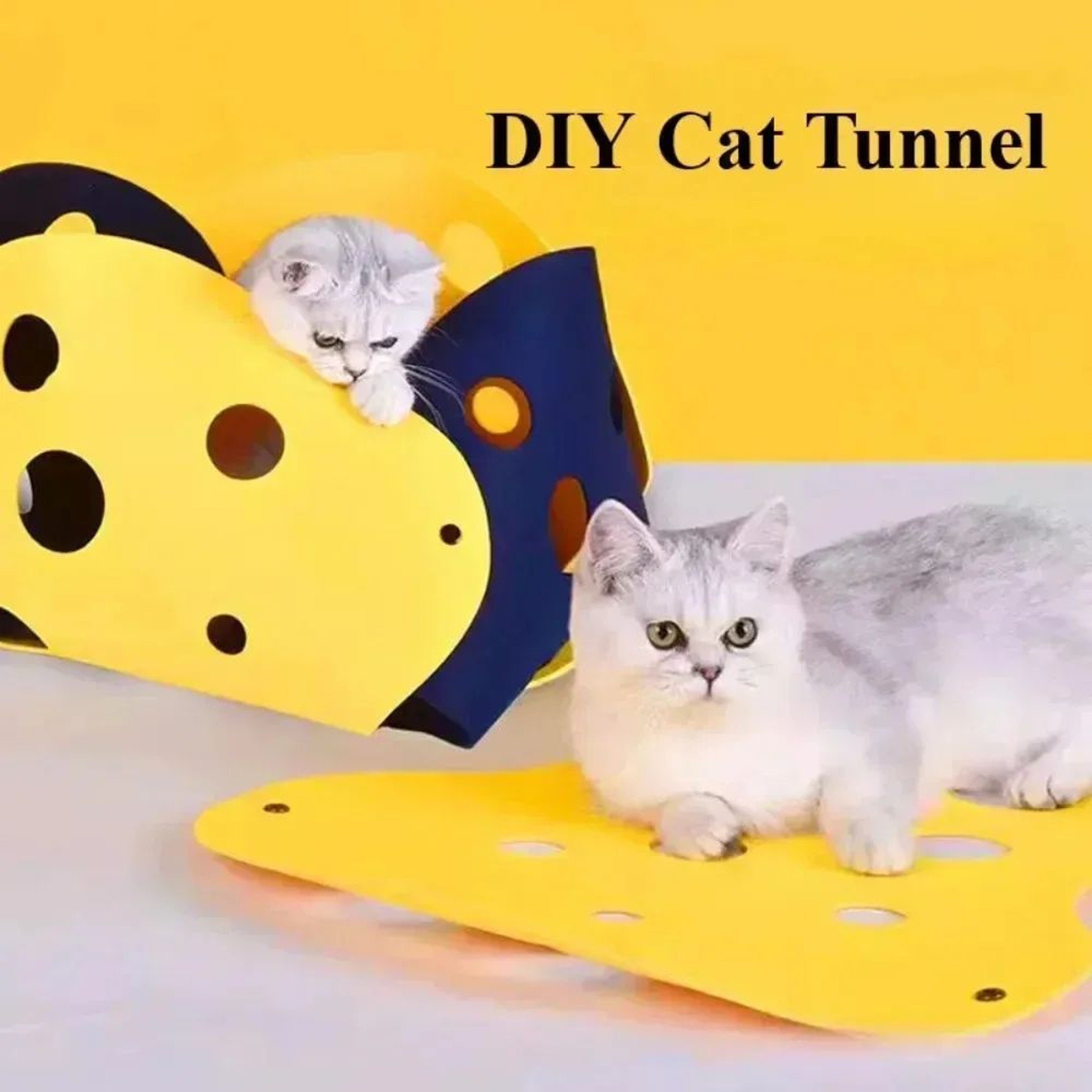Foldable Cat Tunnel Bed Activity Rug For Indoor Play 3
