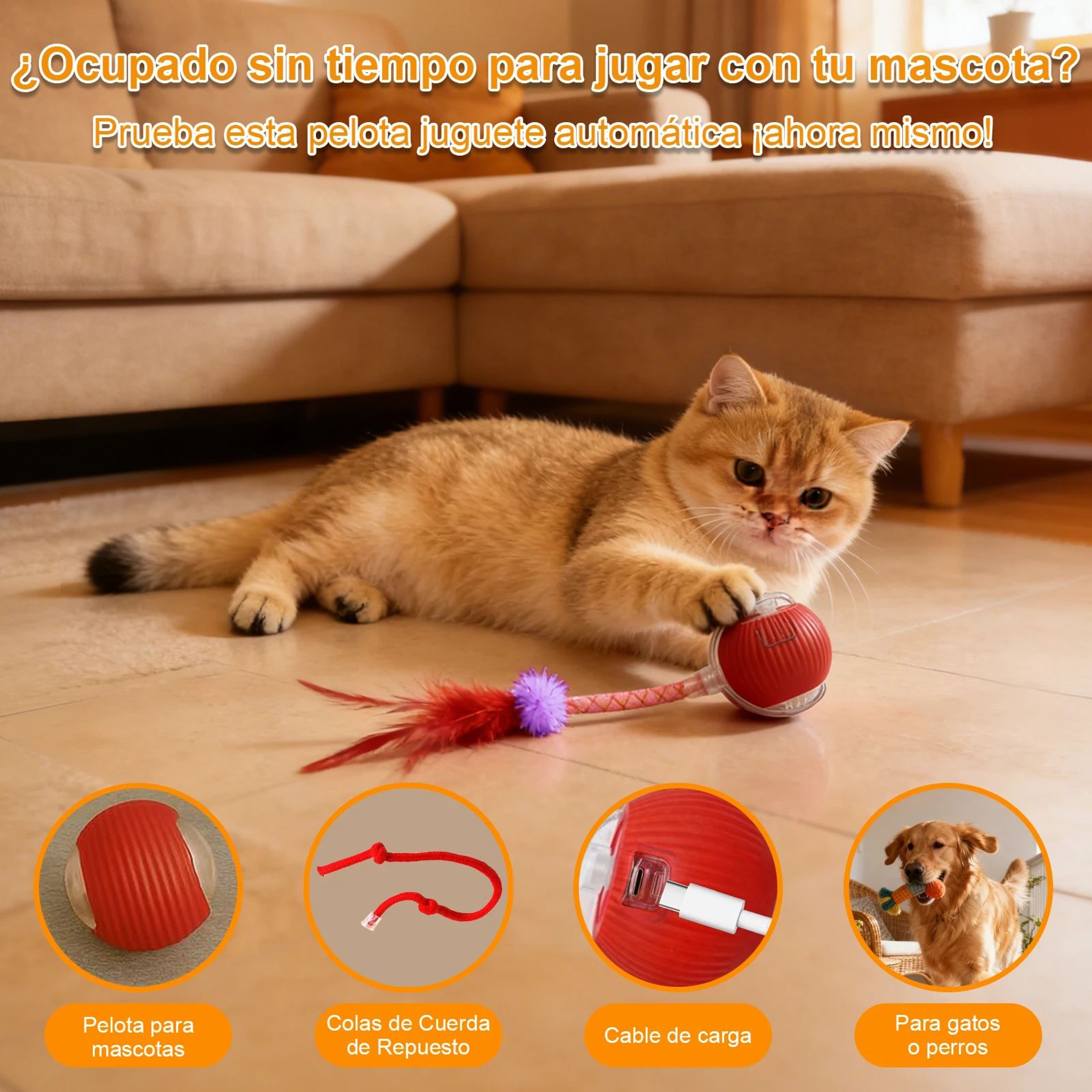 Rechargeable Speedy Tail Interactive Cat Toy Ball 1