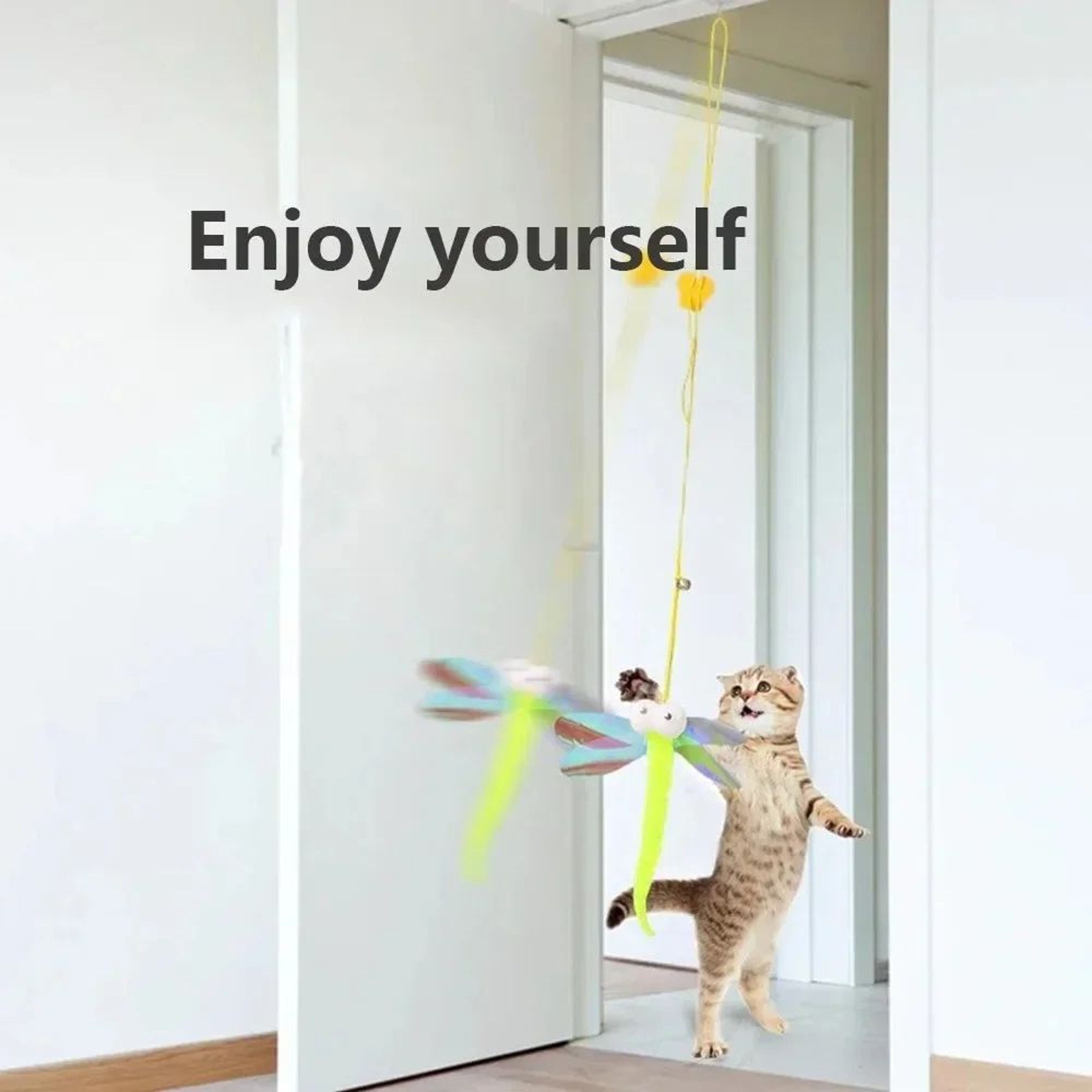 Door Hanging Interactive Cat Toy With Elastic Feather Teaser 3