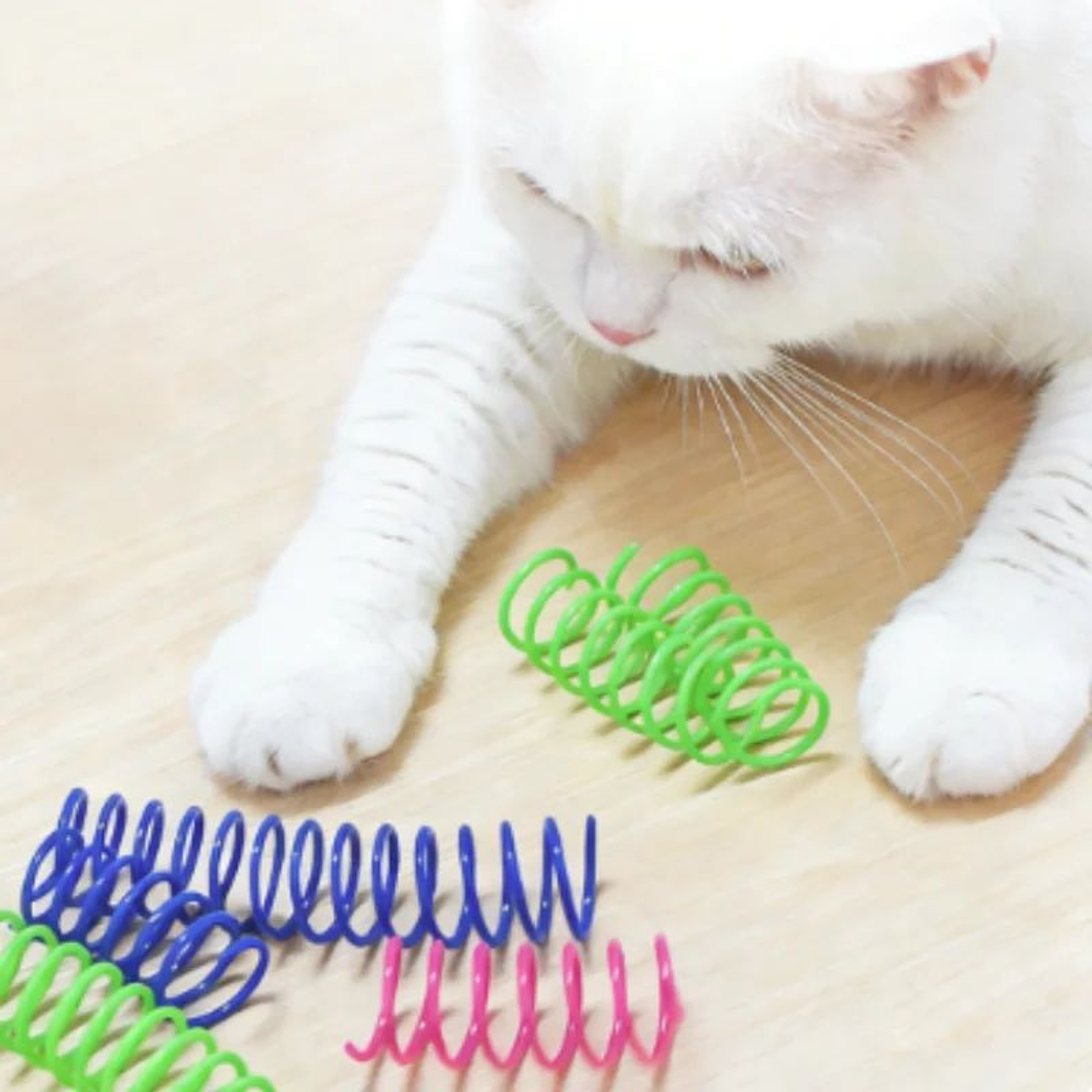 Bouncy Plastic Spring Cat Toy For Indoor Cats 4