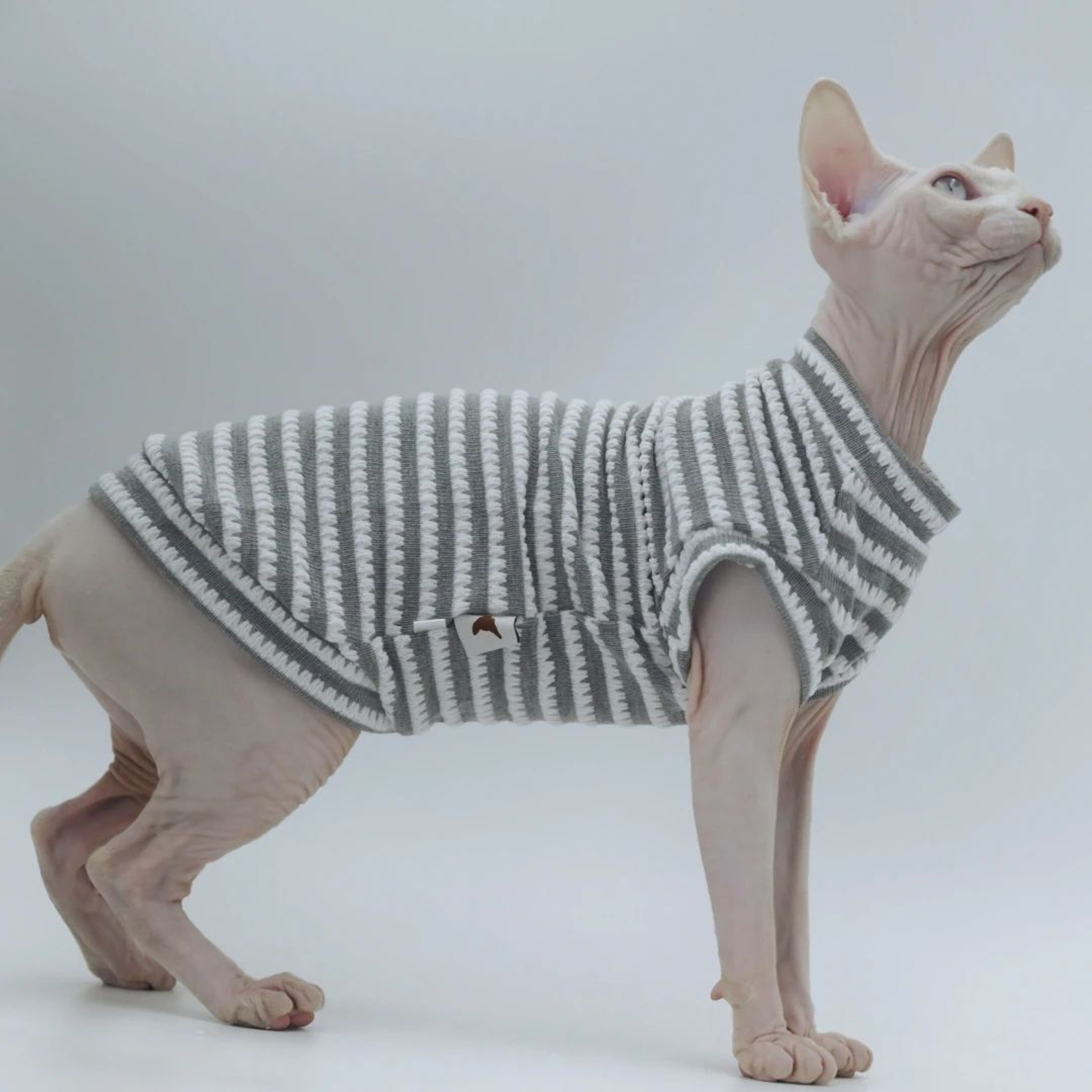 CoolComfort Hairless Cat Summer Vest  Soft Stretch Sphynx Cat Clothes  Breathable Hairless Cat Shir 1