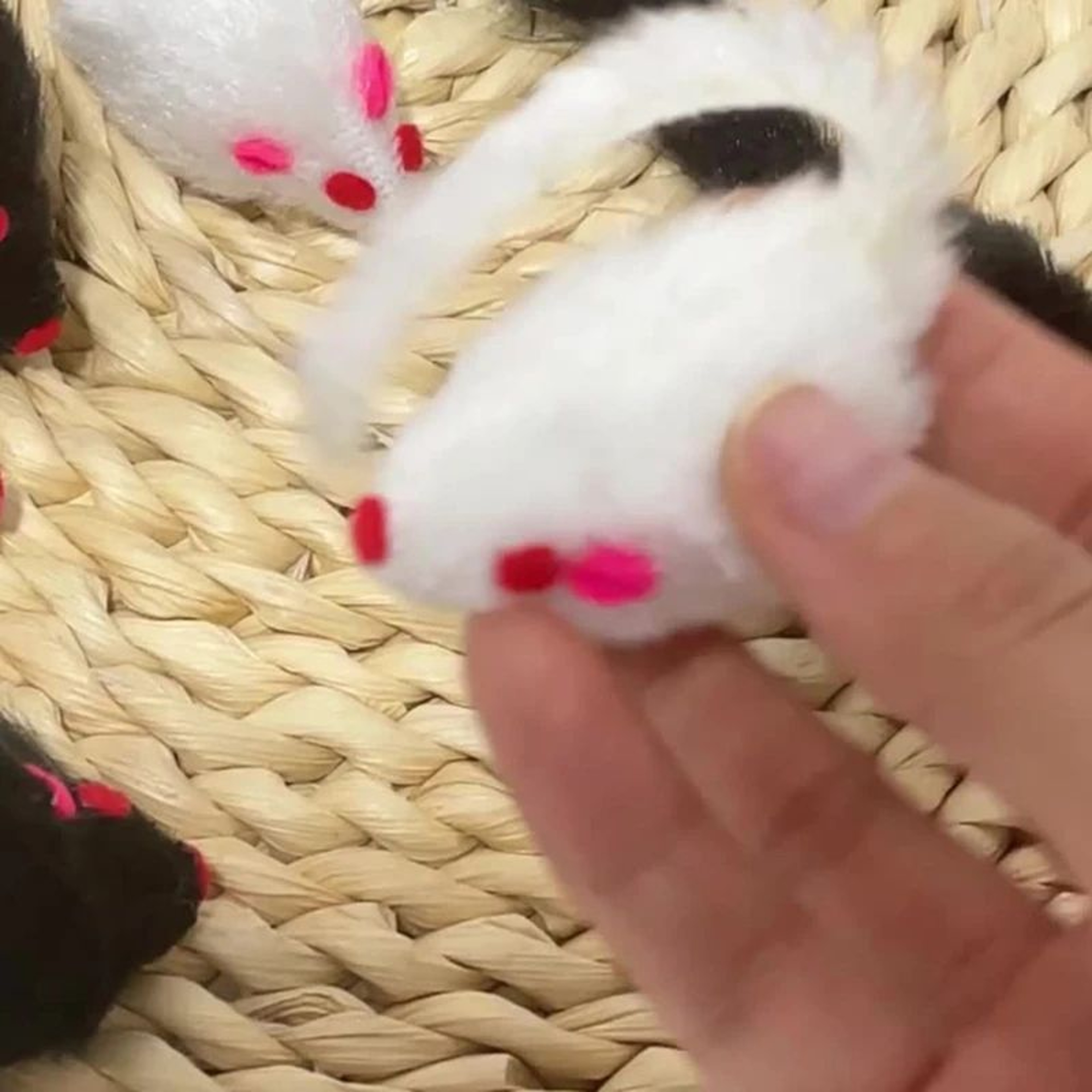 Soft Rattle Mouse Interactive Cat Toy For Indoor Cats 4