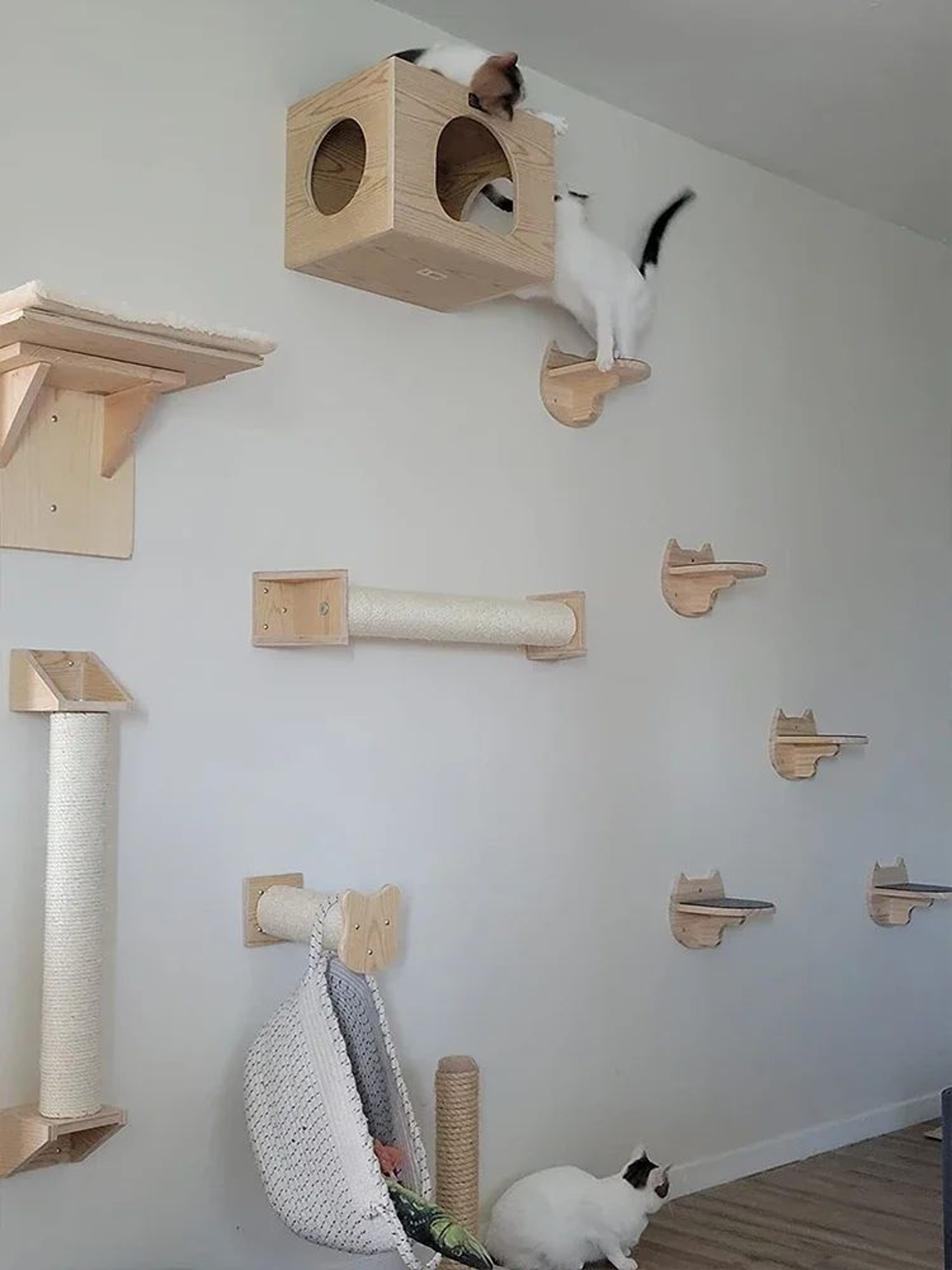 SkyClimb WallMounted Cat Shelf Steps With Sisal Scratching Surface 4