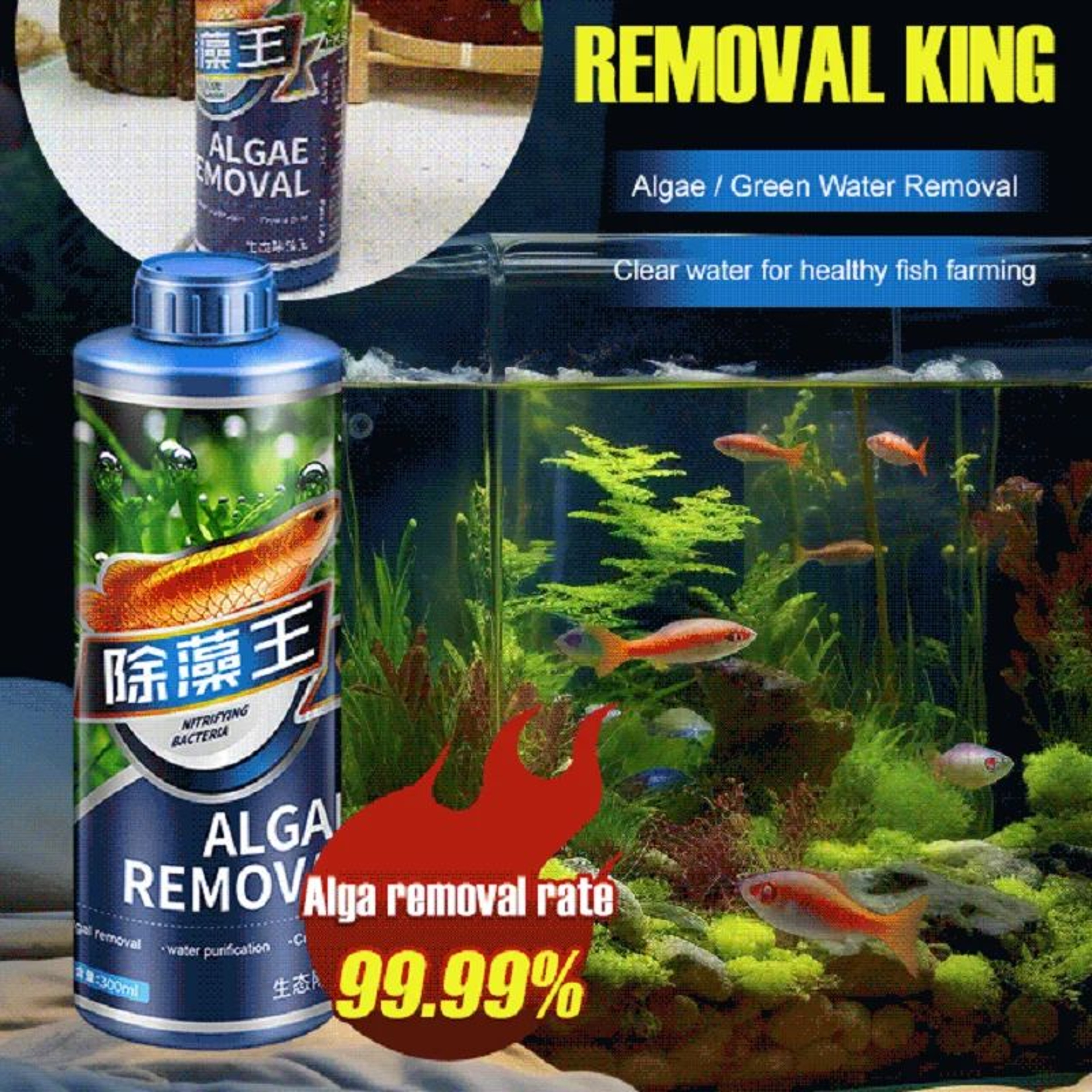 ClearGuard Aquarium Algaecide Water Clarifier 300ml Fish Tank Algae Remover Solution 0