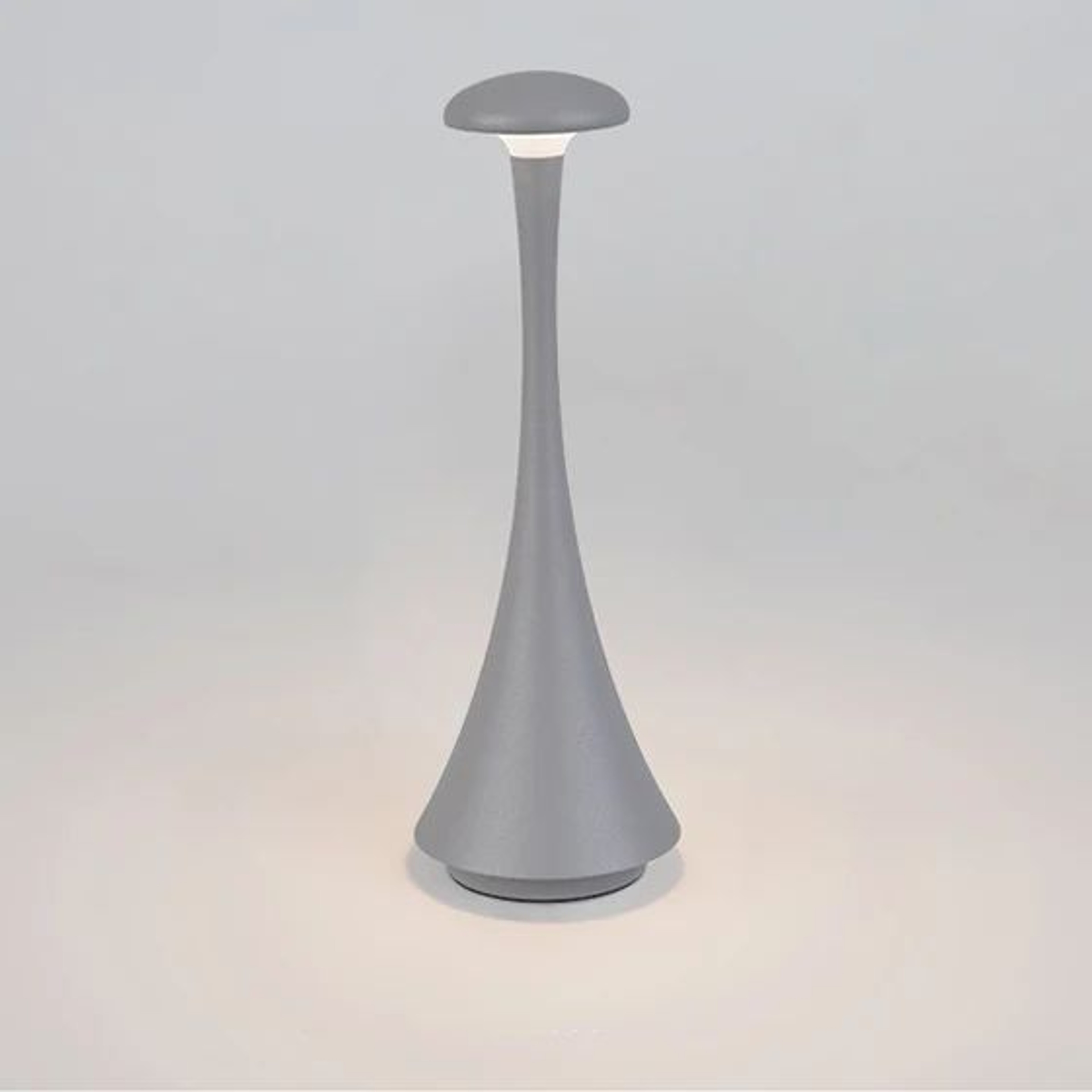 Rechargeable Mushroom Table Lamp USBC Touch Cordless LED Bedside Light 8