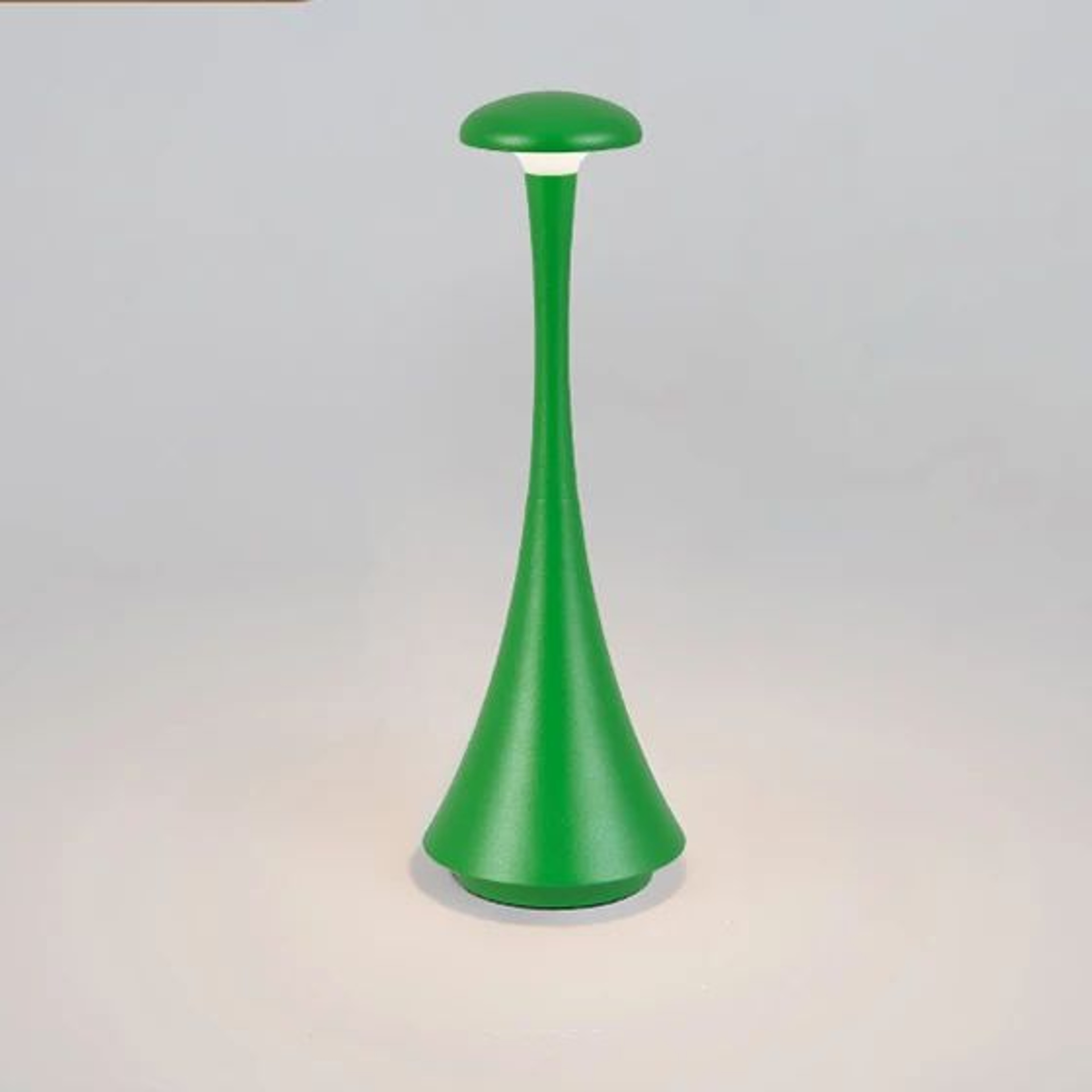 Rechargeable Mushroom Table Lamp USBC Touch Cordless LED Bedside Light 14