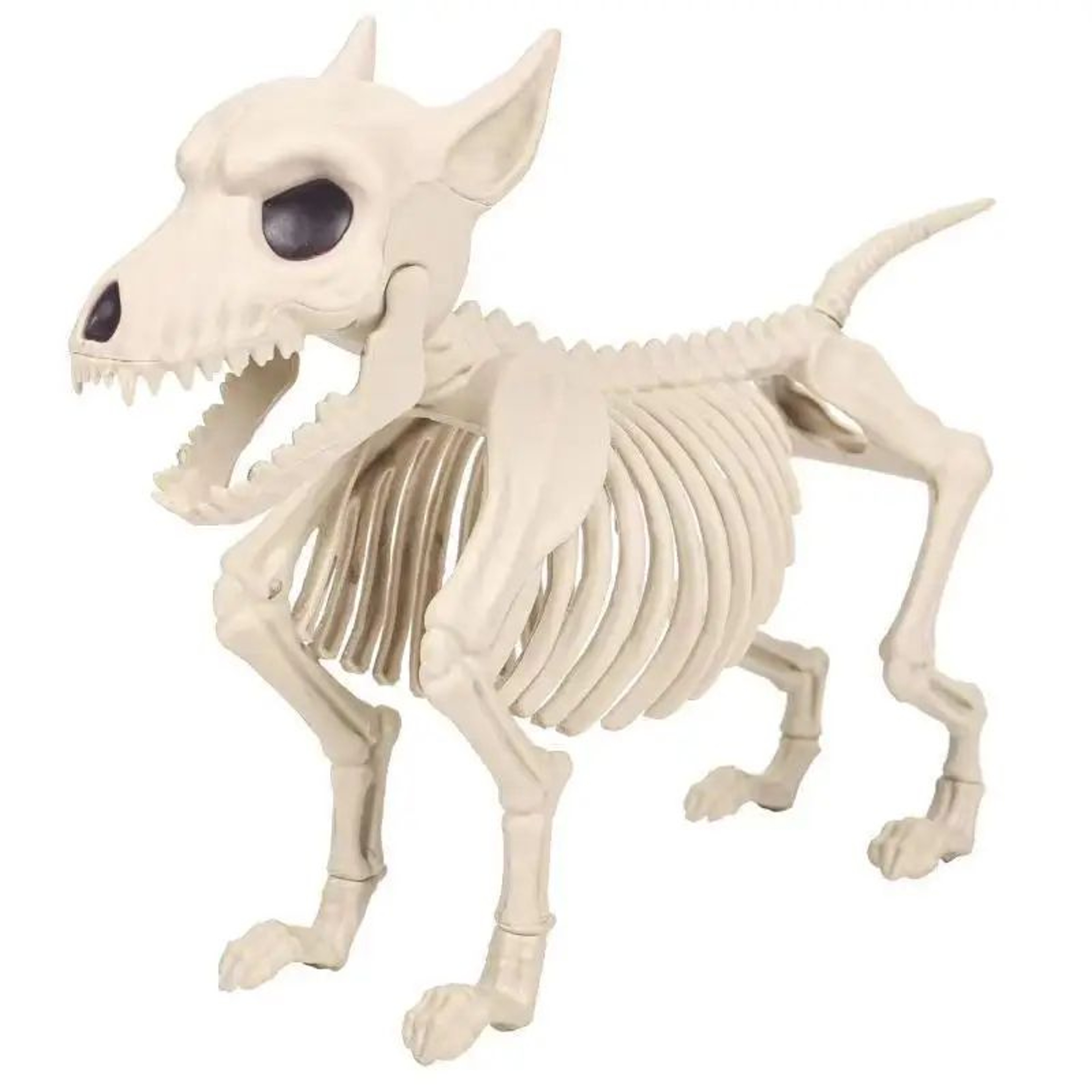 Bonehowl Skeleton Wolf Halloween Decoration 5