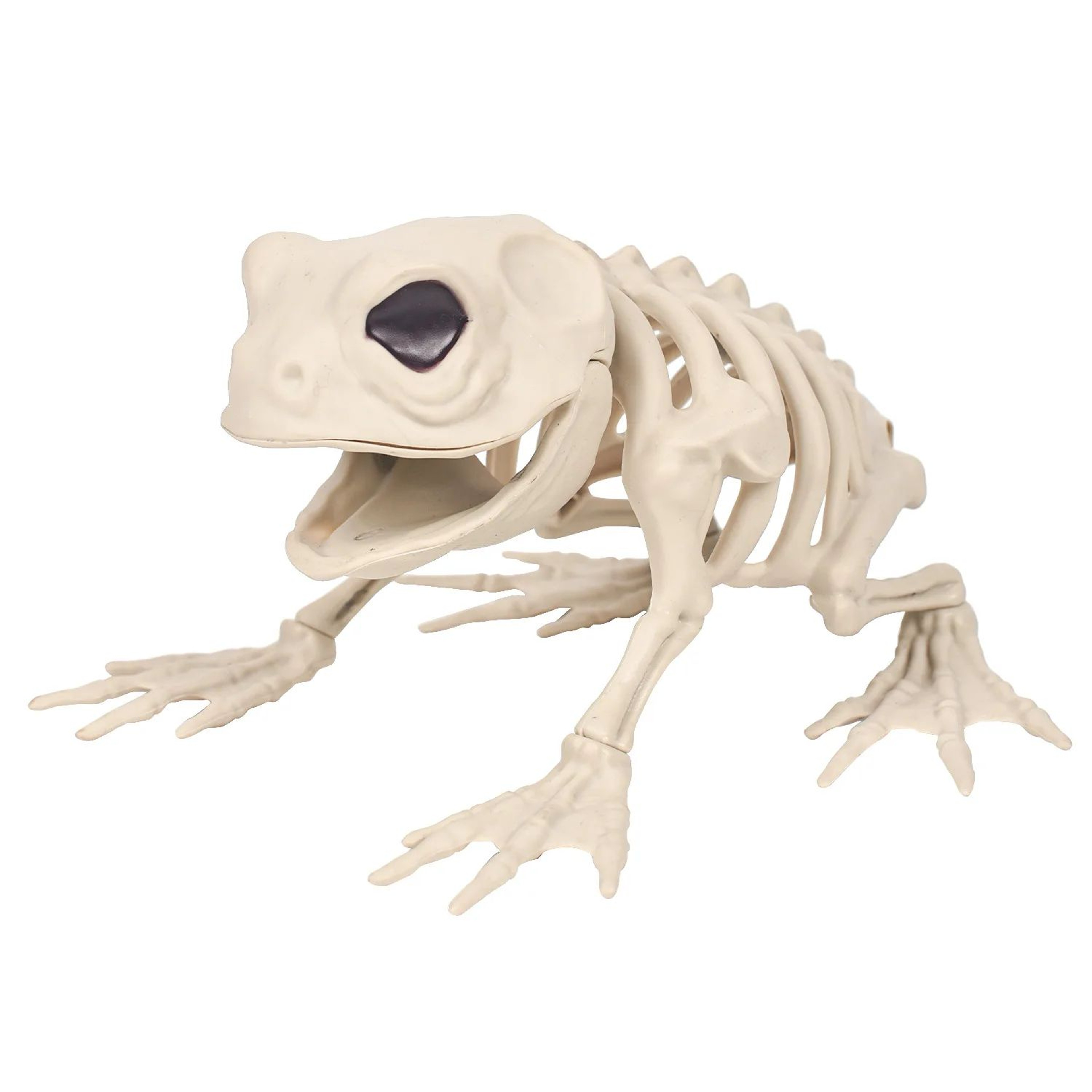 Bonehowl Skeleton Wolf Halloween Decoration 6