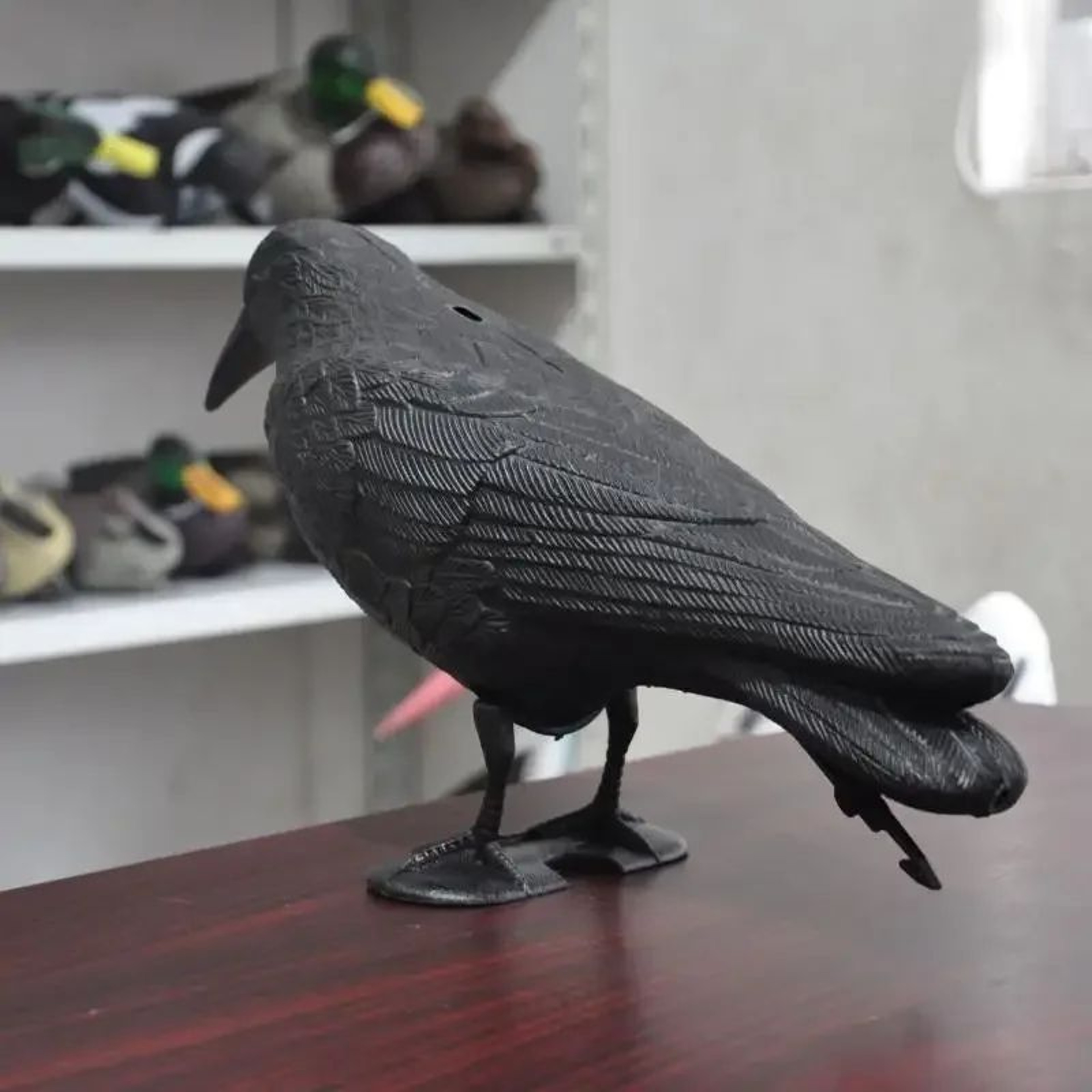 Realistic Raven Bird Deterrent Garden Crow Decoy 3