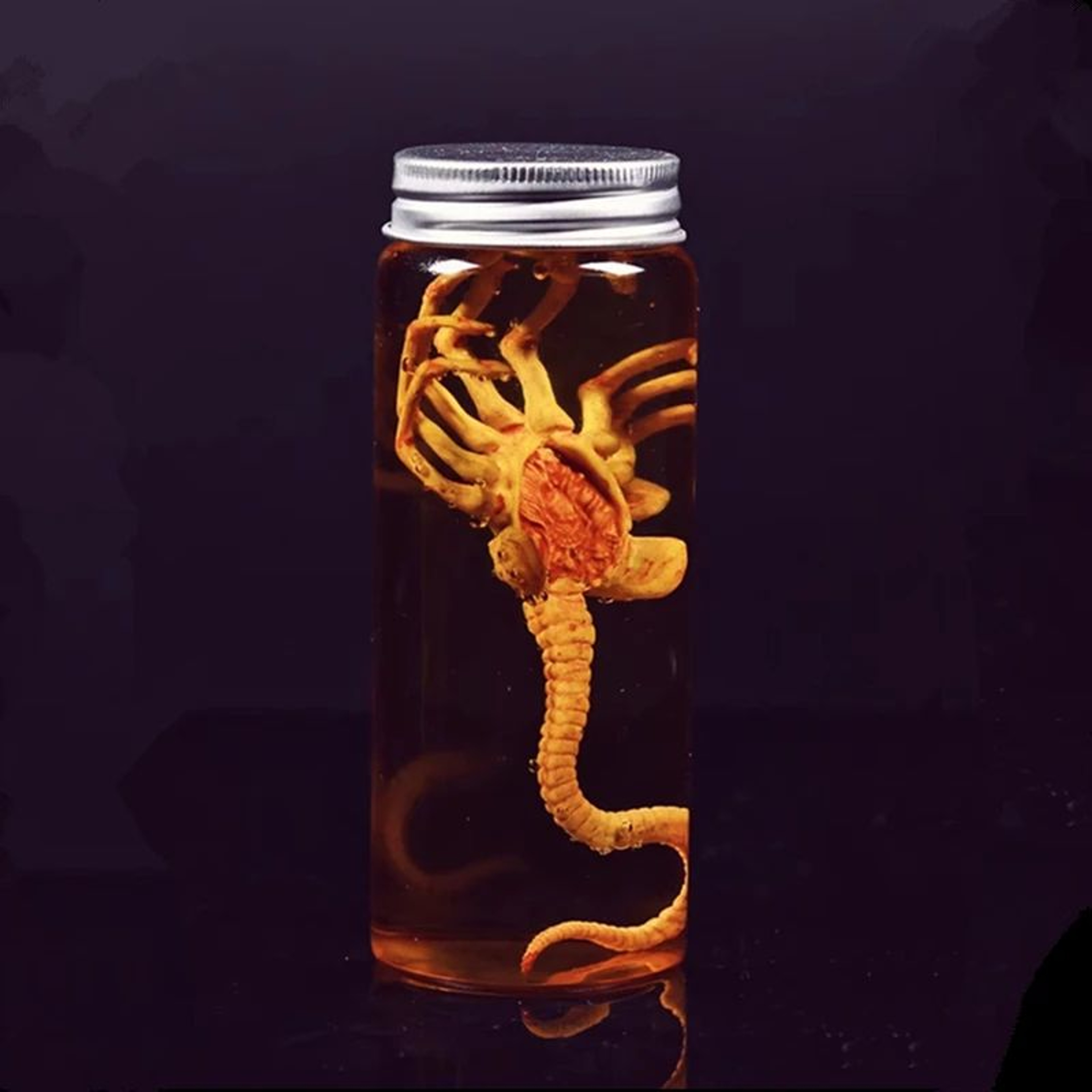 Alien Facehugger Specimen Jar With LED Xenomorph Movie Prop 0