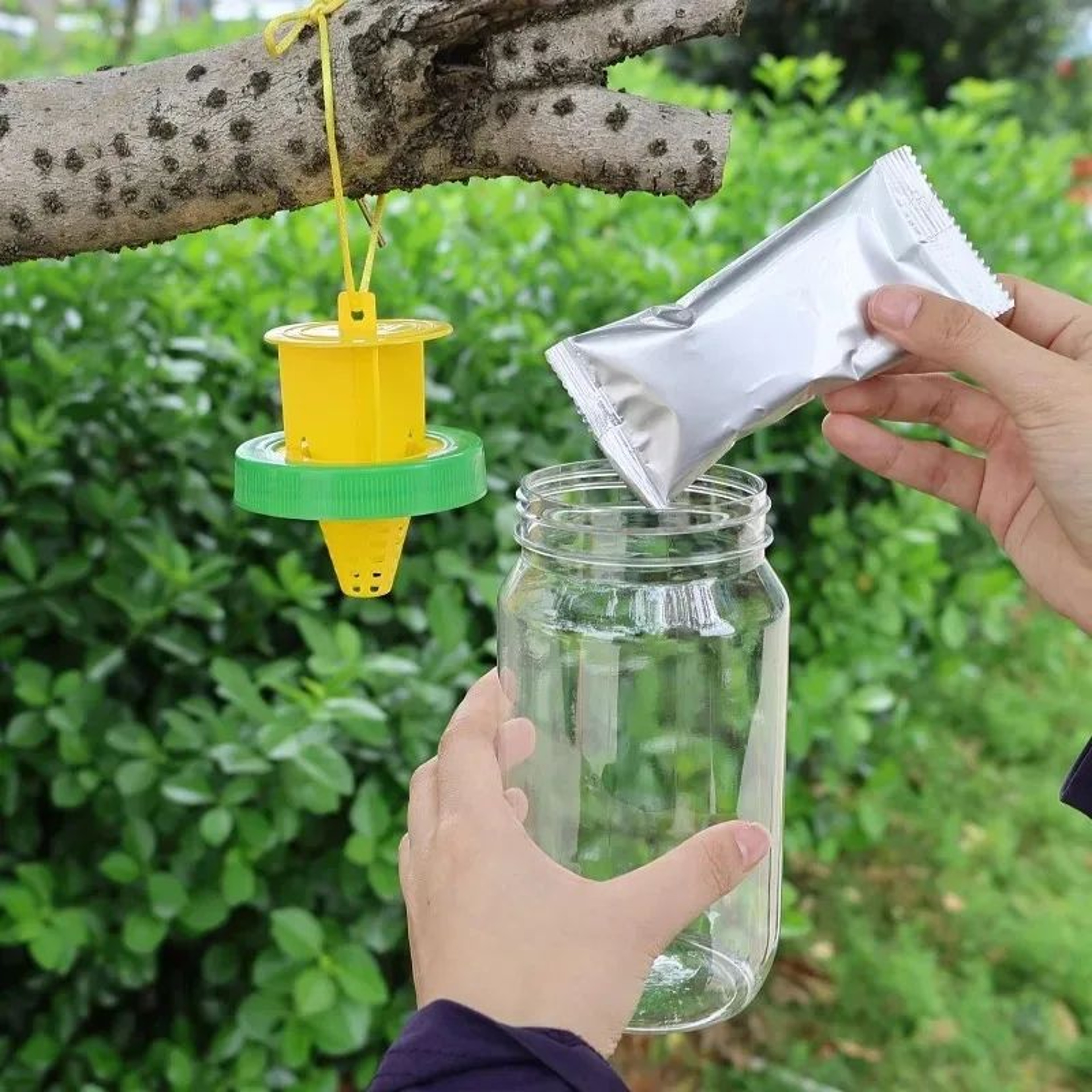 GardenGuard Reusable Fruit Fly Trap With Hanging Bait Catcher 2