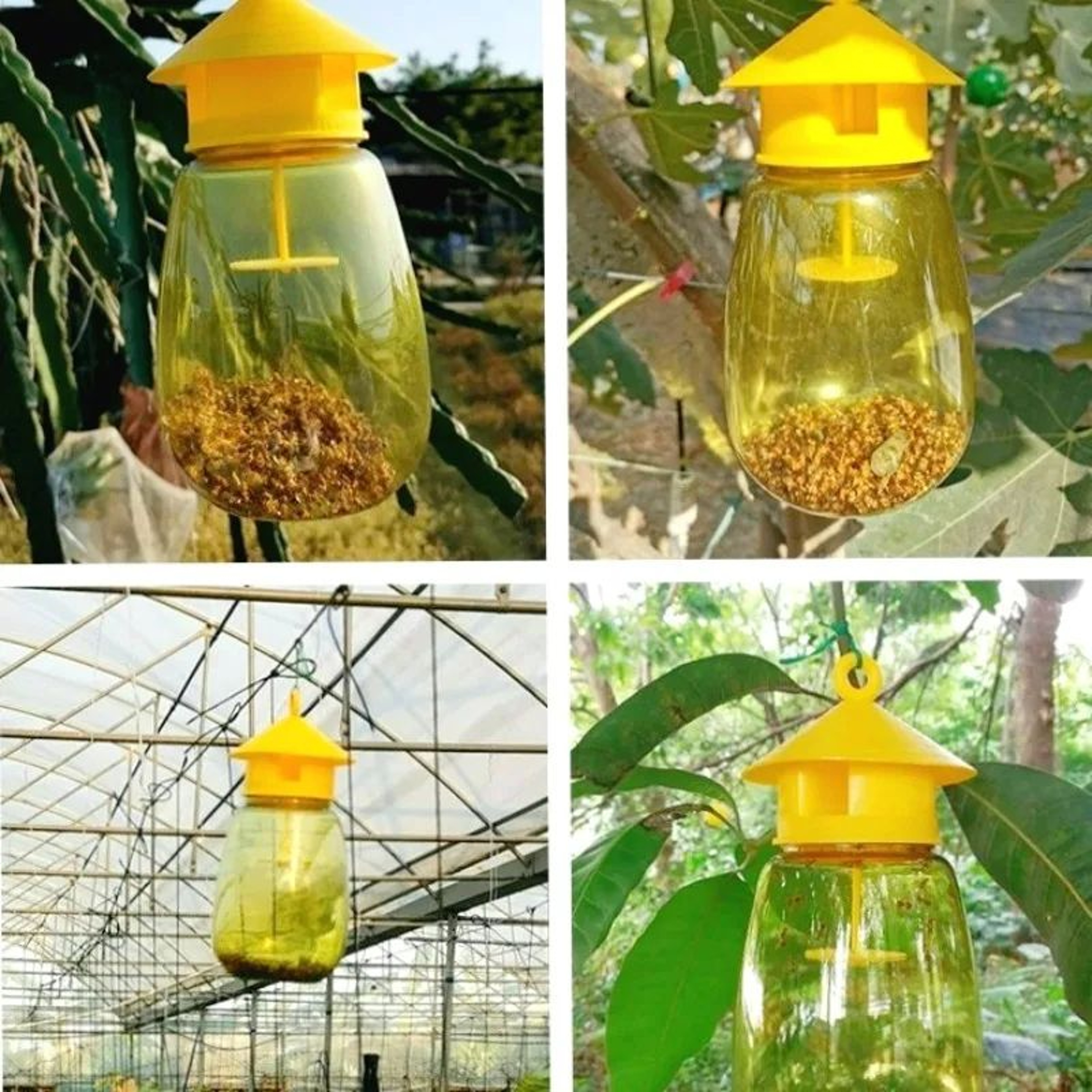 GardenGuard Large Capacity Fruit Fly Trap And Wasp Trap With Hanging Attractant 5