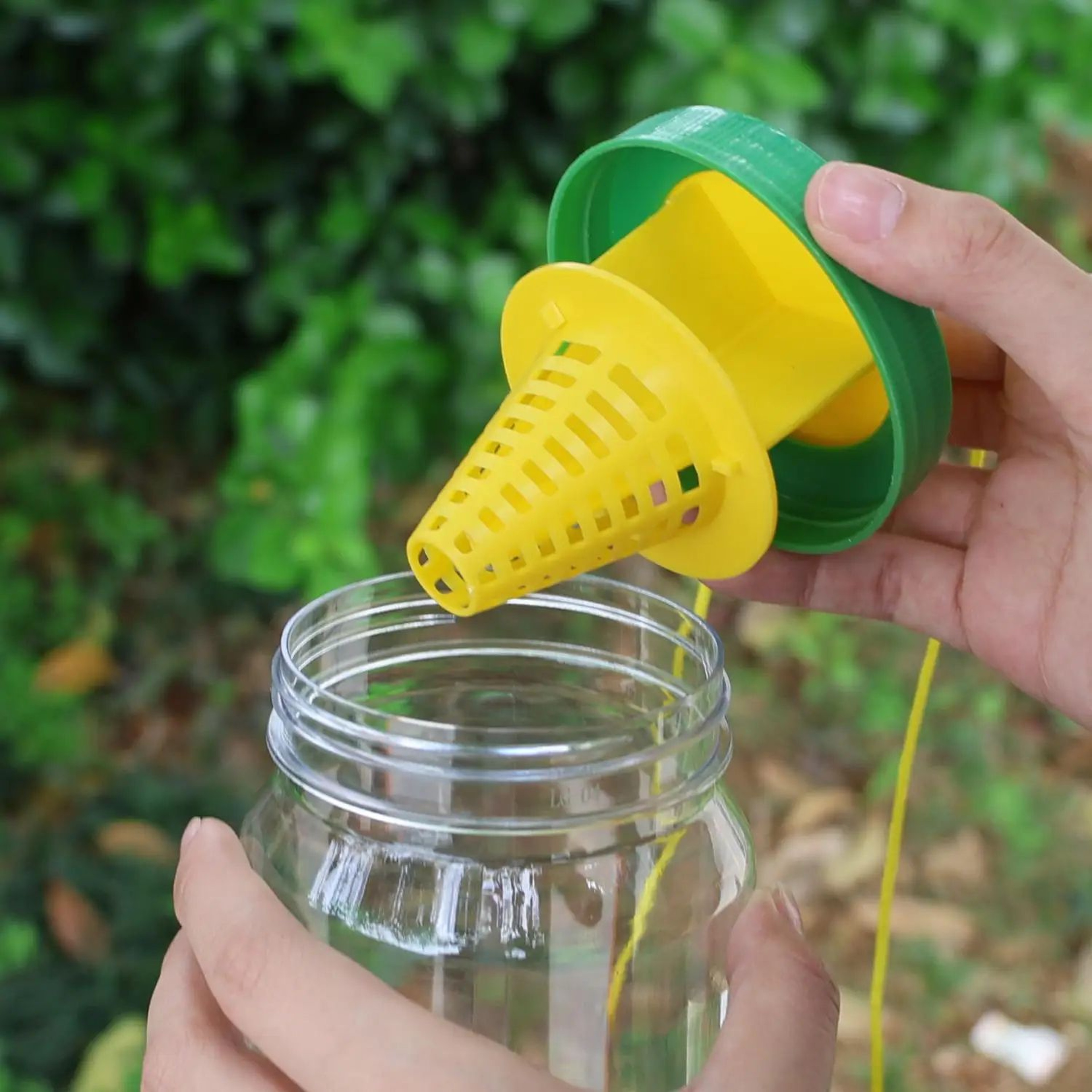 ClearView Outdoor Fruit Fly Trap And Wasp Trap 5