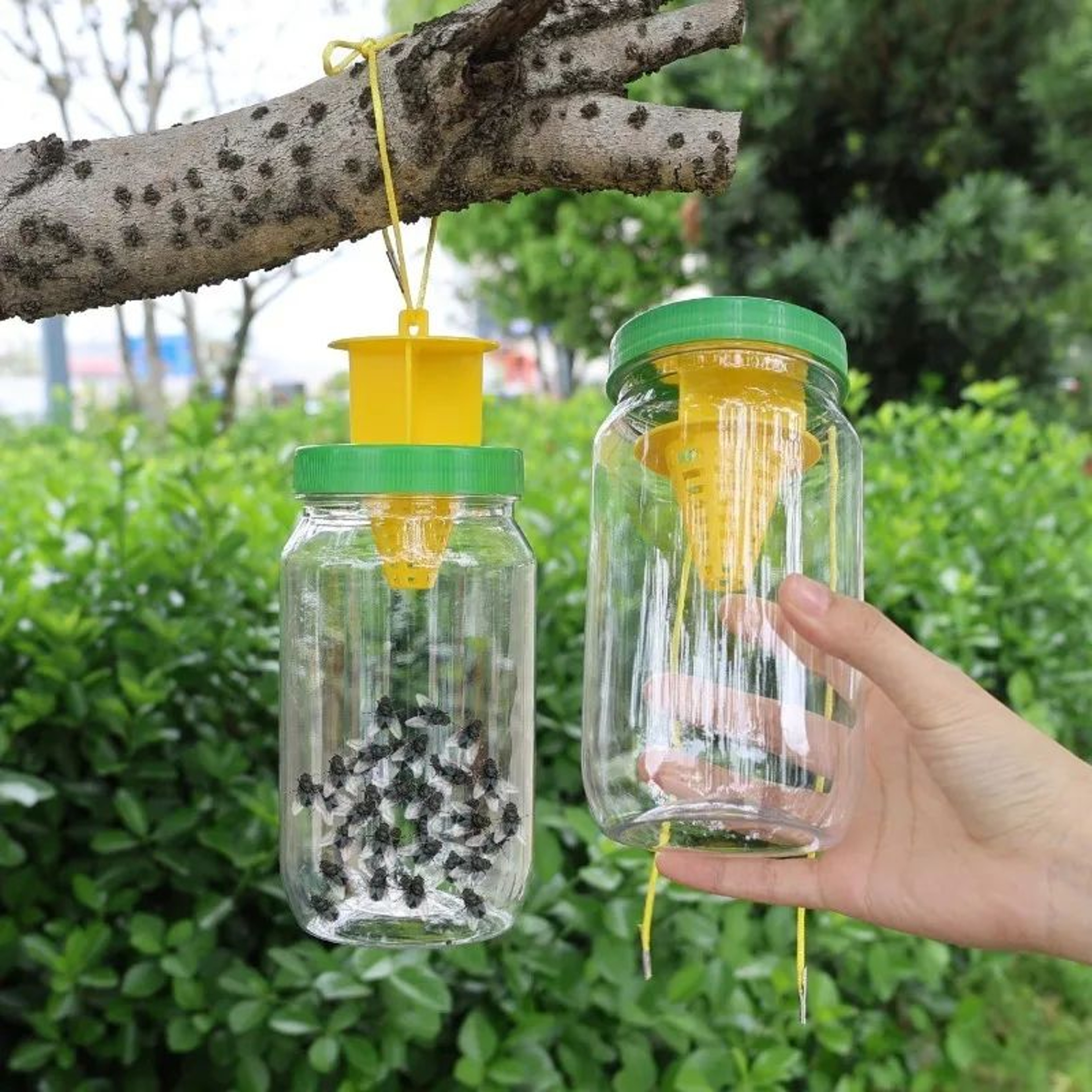 ClearGuard 800ml Reusable Outdoor Fly Trap Bottle 1