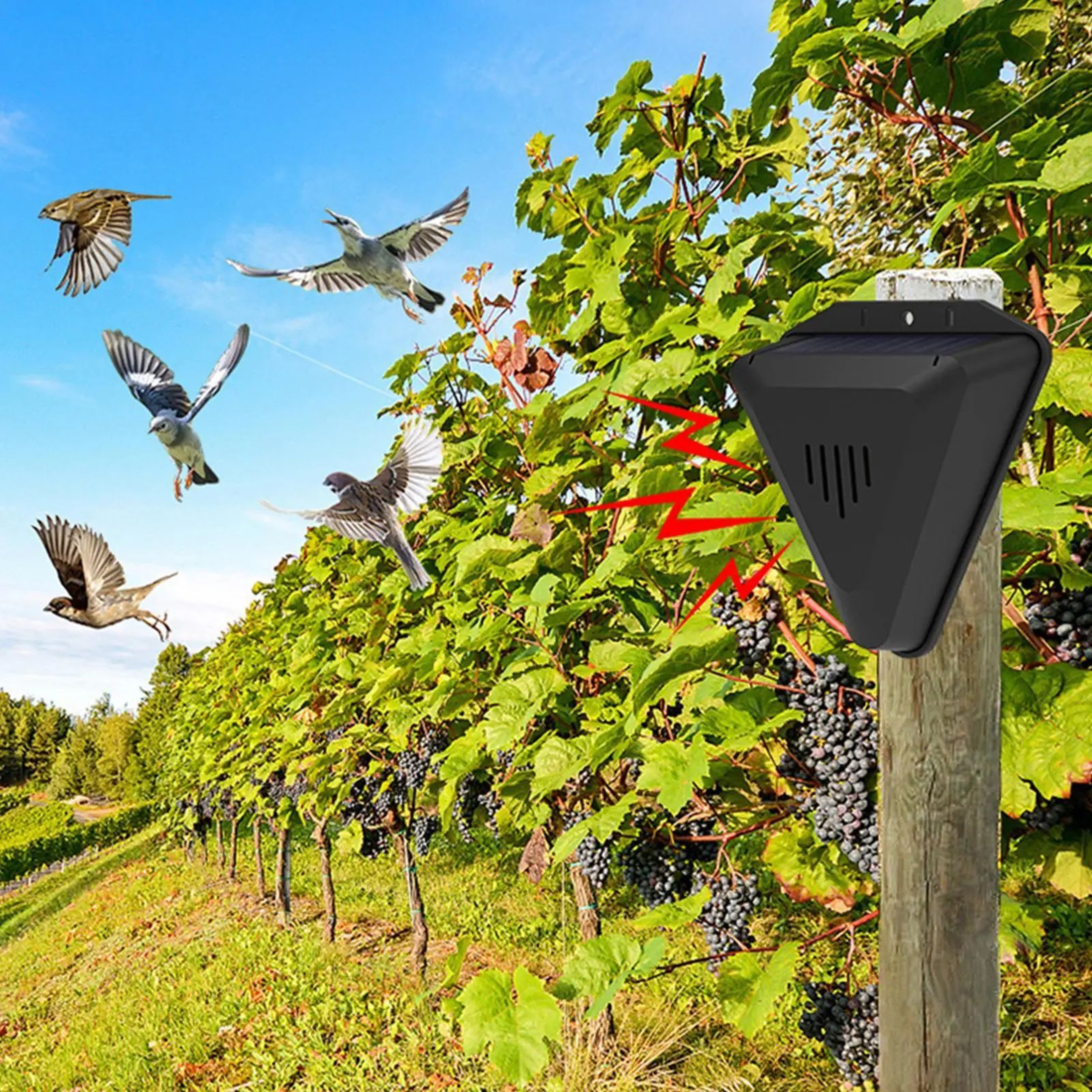 SolarGuard Solar Bird Repeller With 13 Sound Modes 3