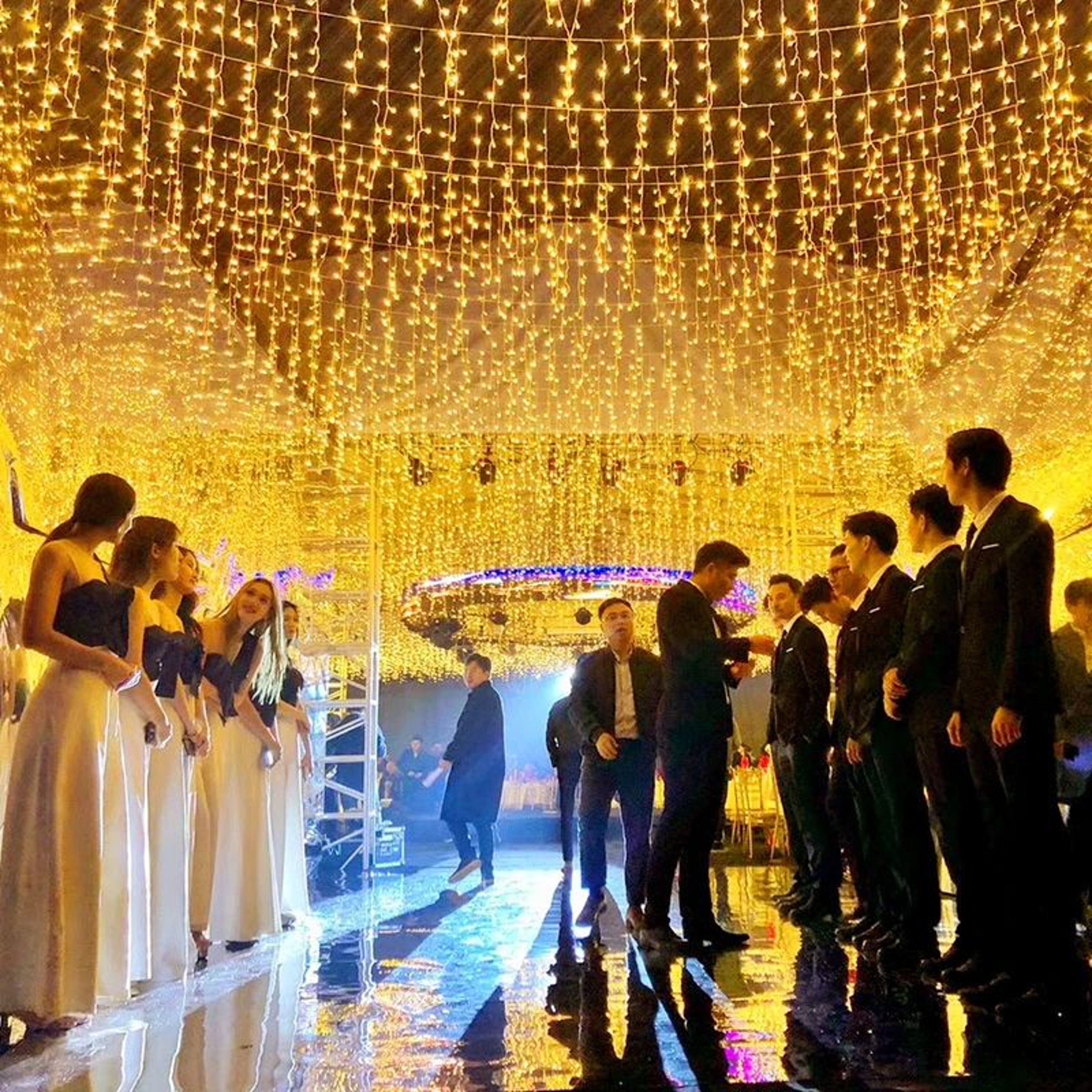 5M40M LED Icicle Curtain String Lights With EU Plug For Outdoor Holiday Decor 3