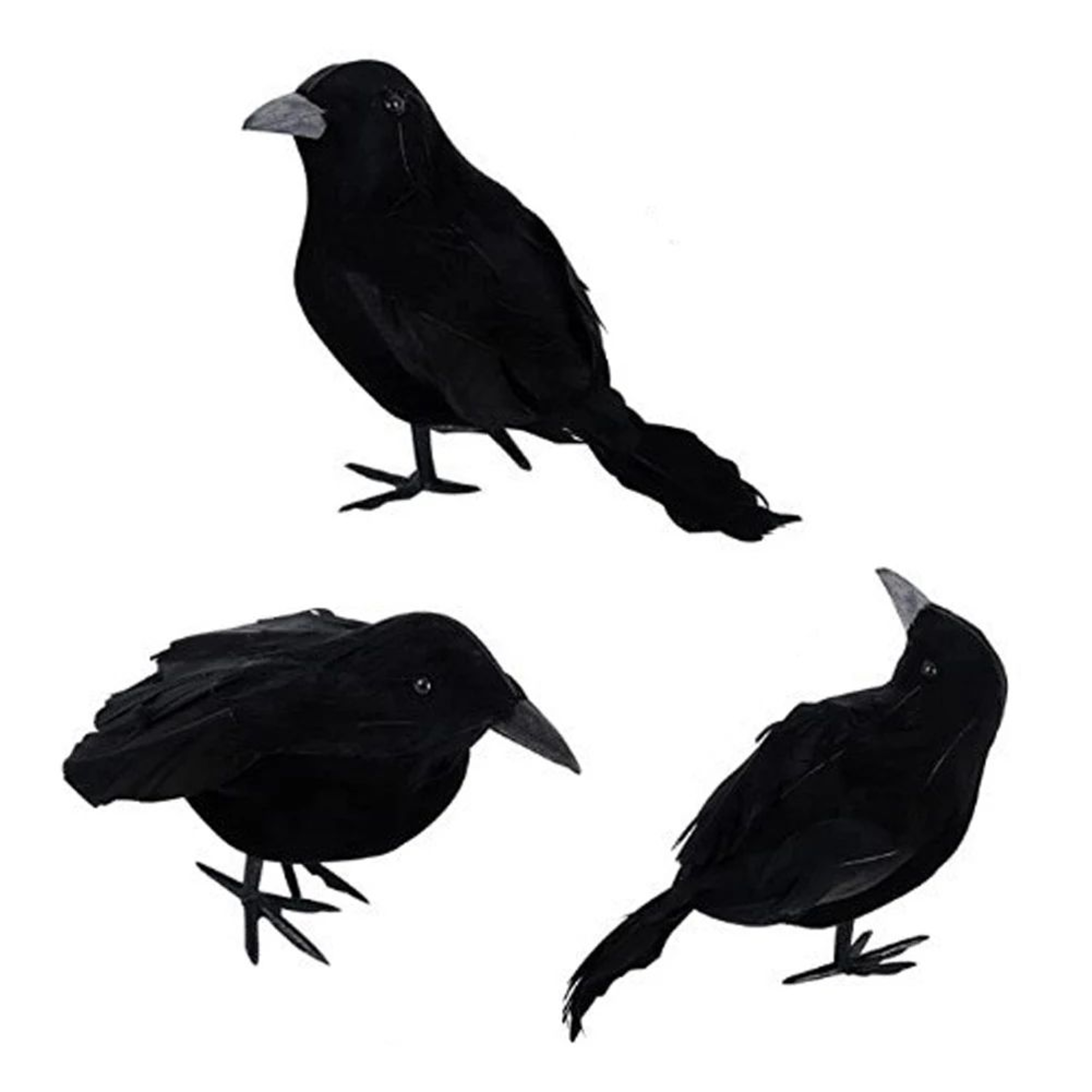 6PCS Realistic Black Feather Crow Halloween Decorations 5