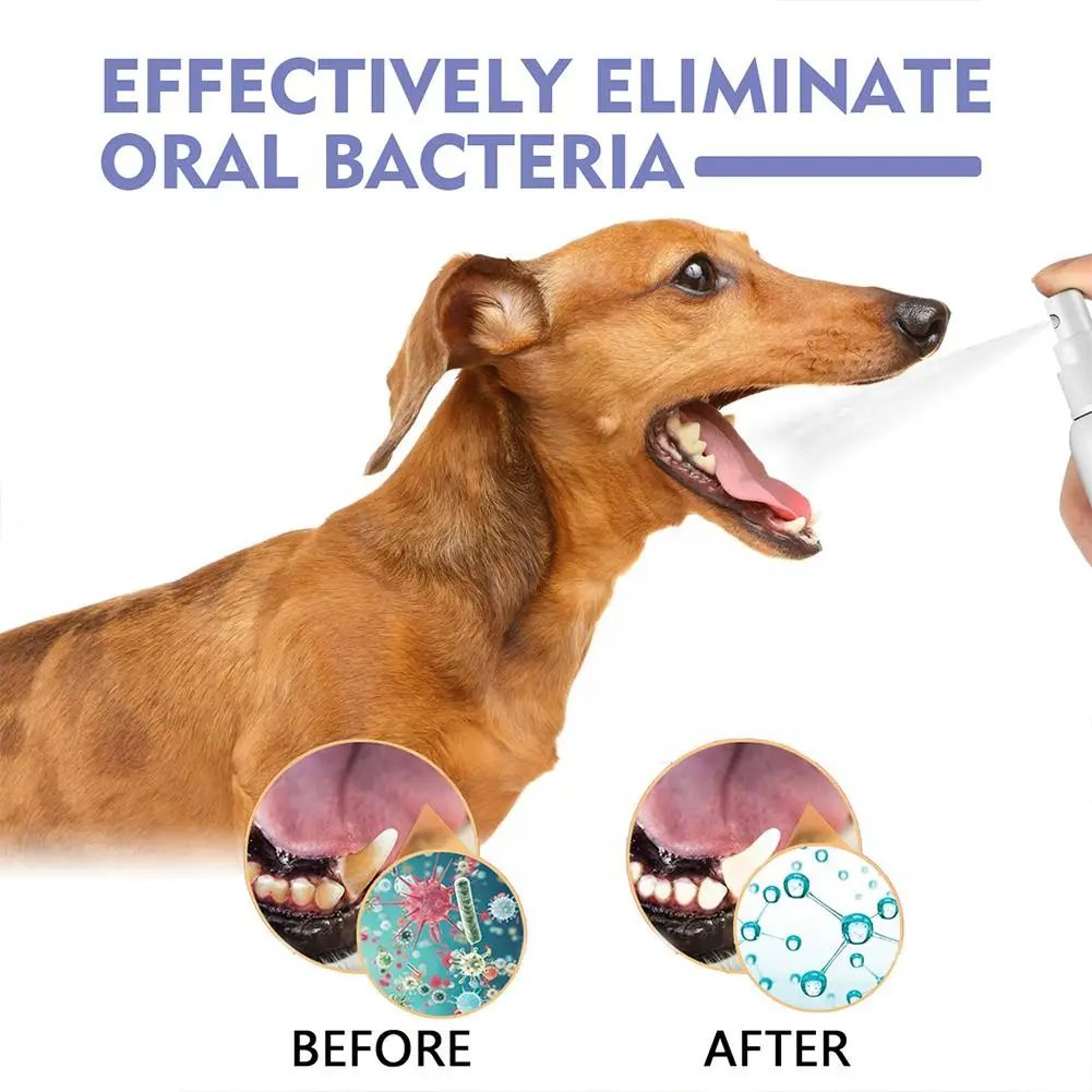 Pet Teeth Cleaning Spray For Dogs And Cats  Breath Freshener And Plaque Care 1