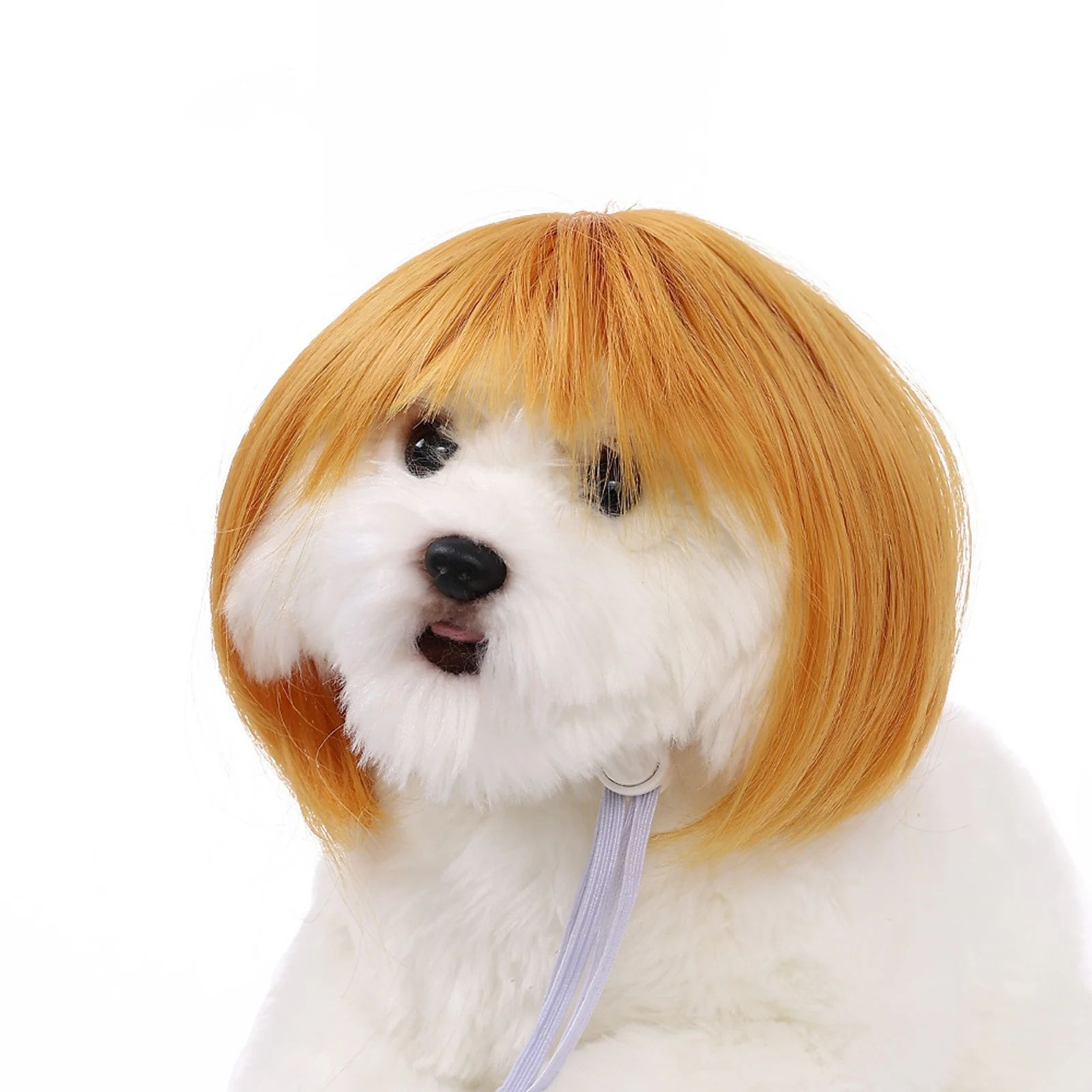 Funny Adjustable Pet Cosplay Wig For Dogs And Cats Halloween Costume 10