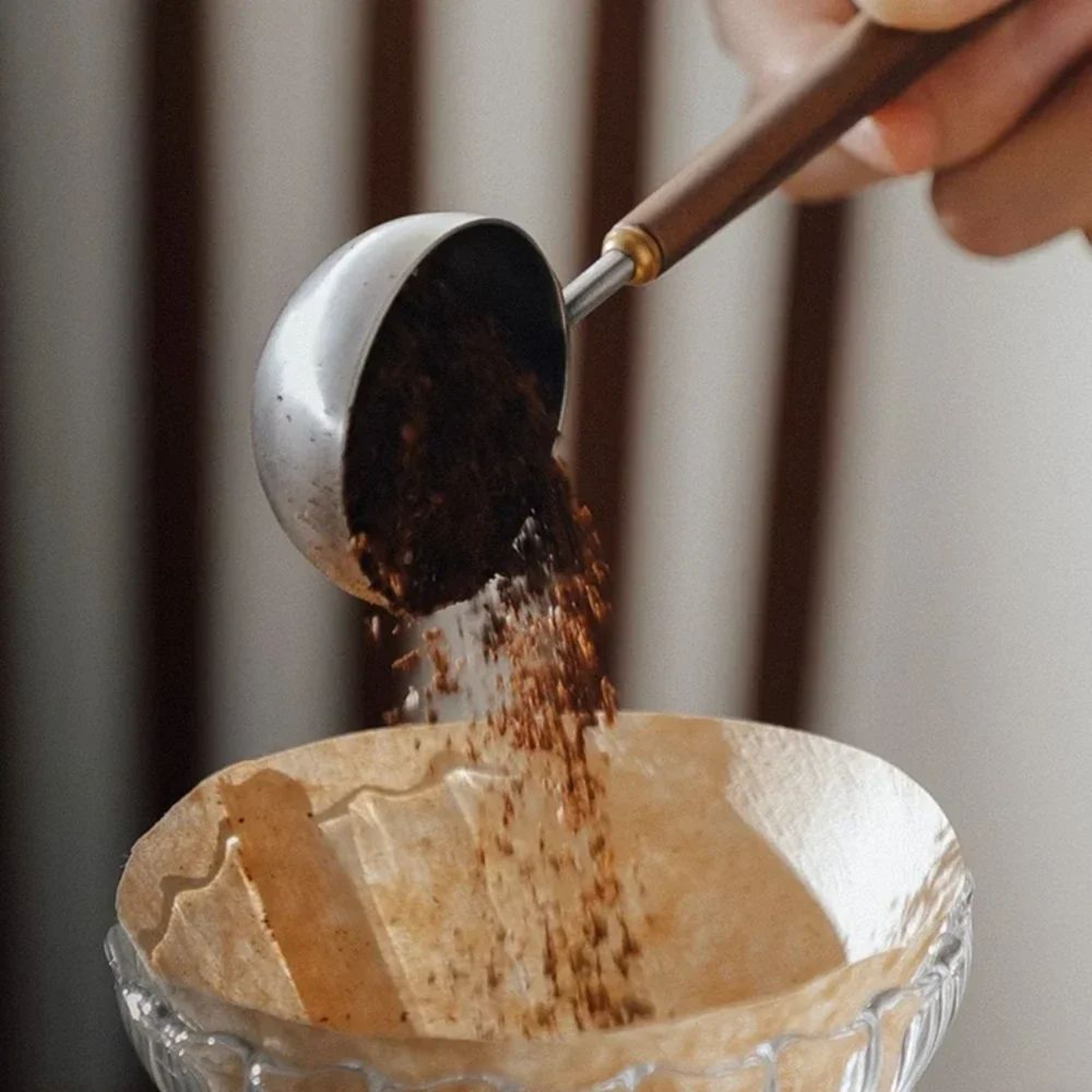 25ml Walnut Handle Stainless Steel Coffee Measuring Scoop 1