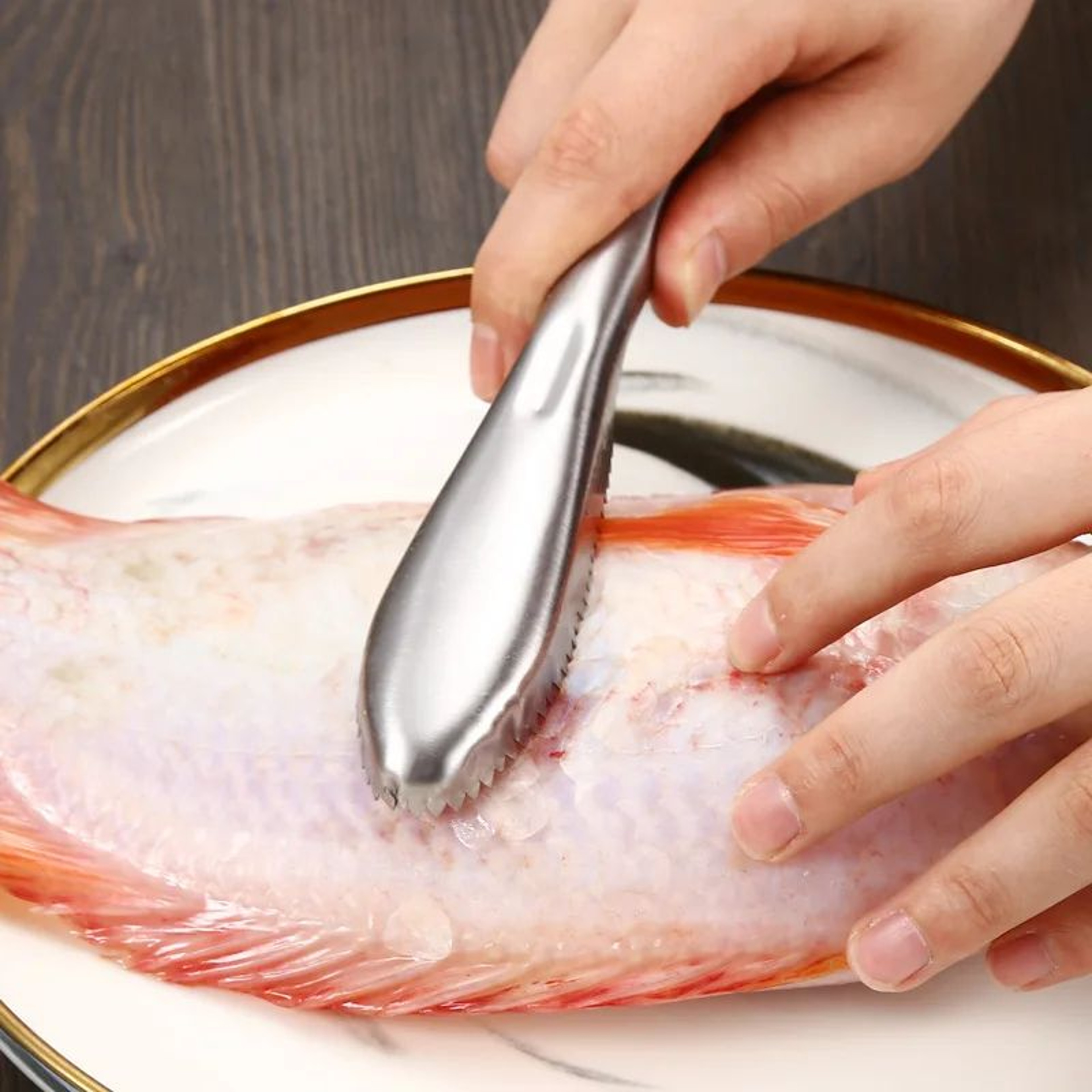 Stainless Steel Fish Scaler Remover  Fish Scale Scraper Cleaning Tool 0