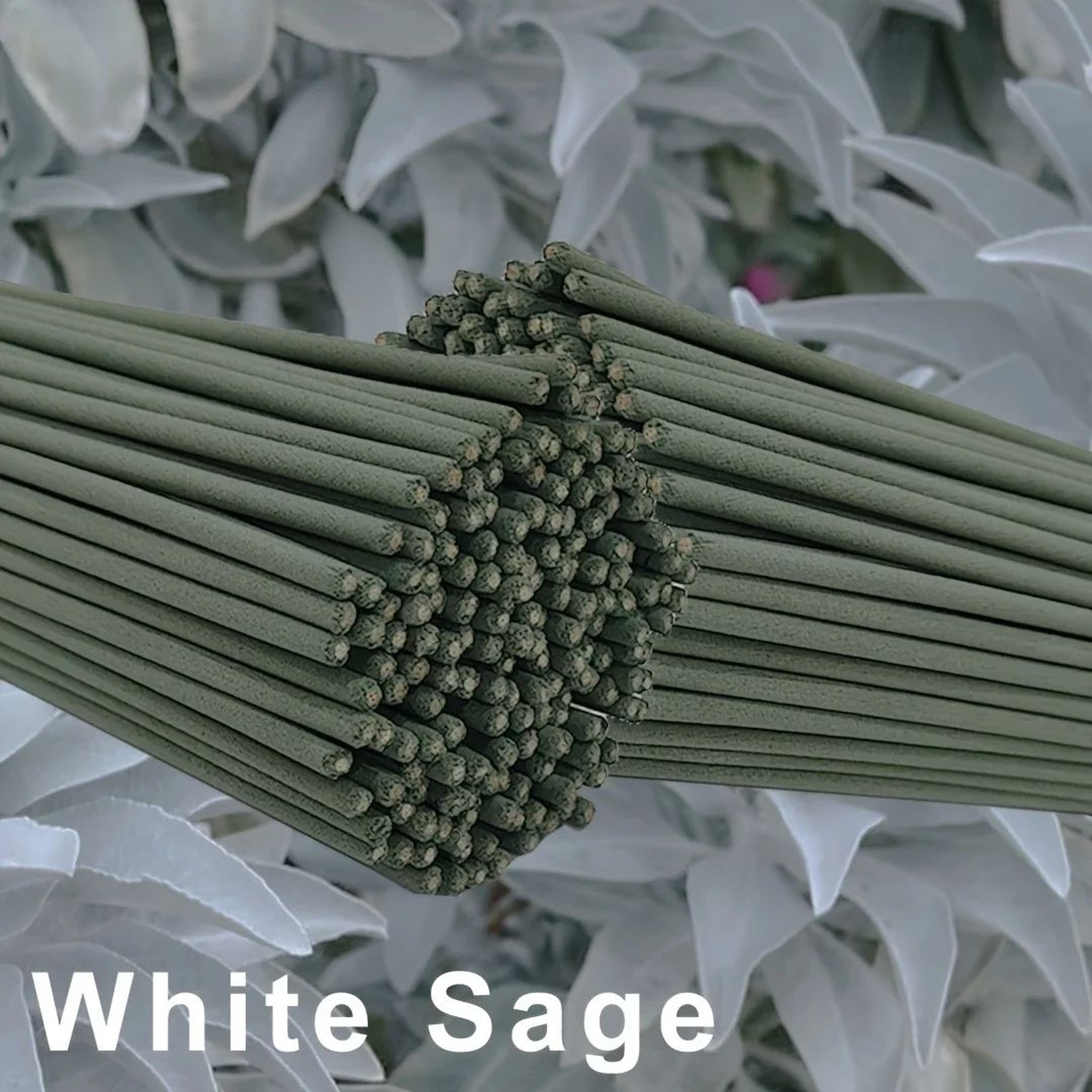 White Sage Incense Sticks 866 Inch For Meditation Yoga And Relaxation 1