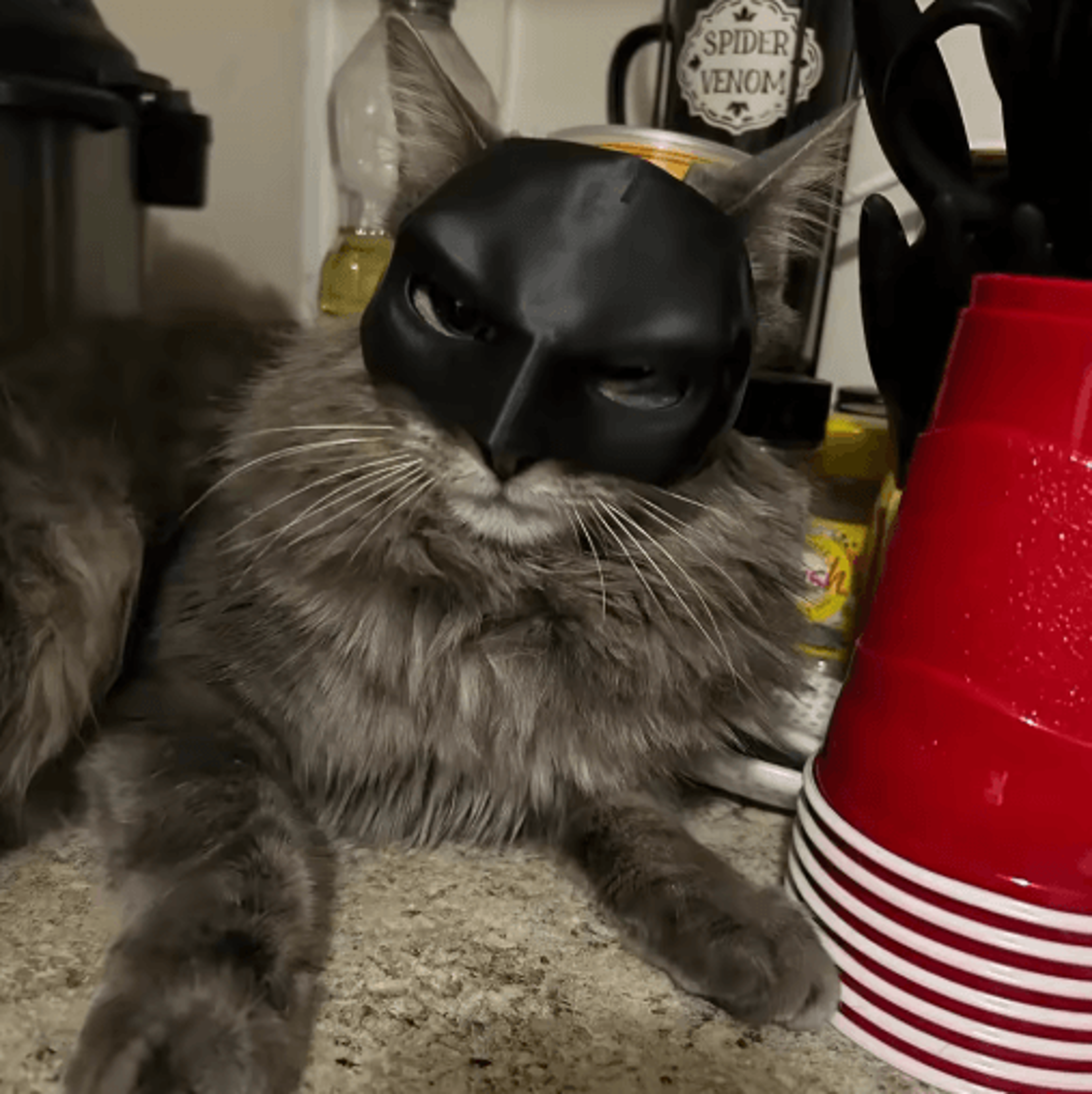 Cat Bat Superhero Mask Cute Matte Cat Avenger Costume Mask For Pets 12