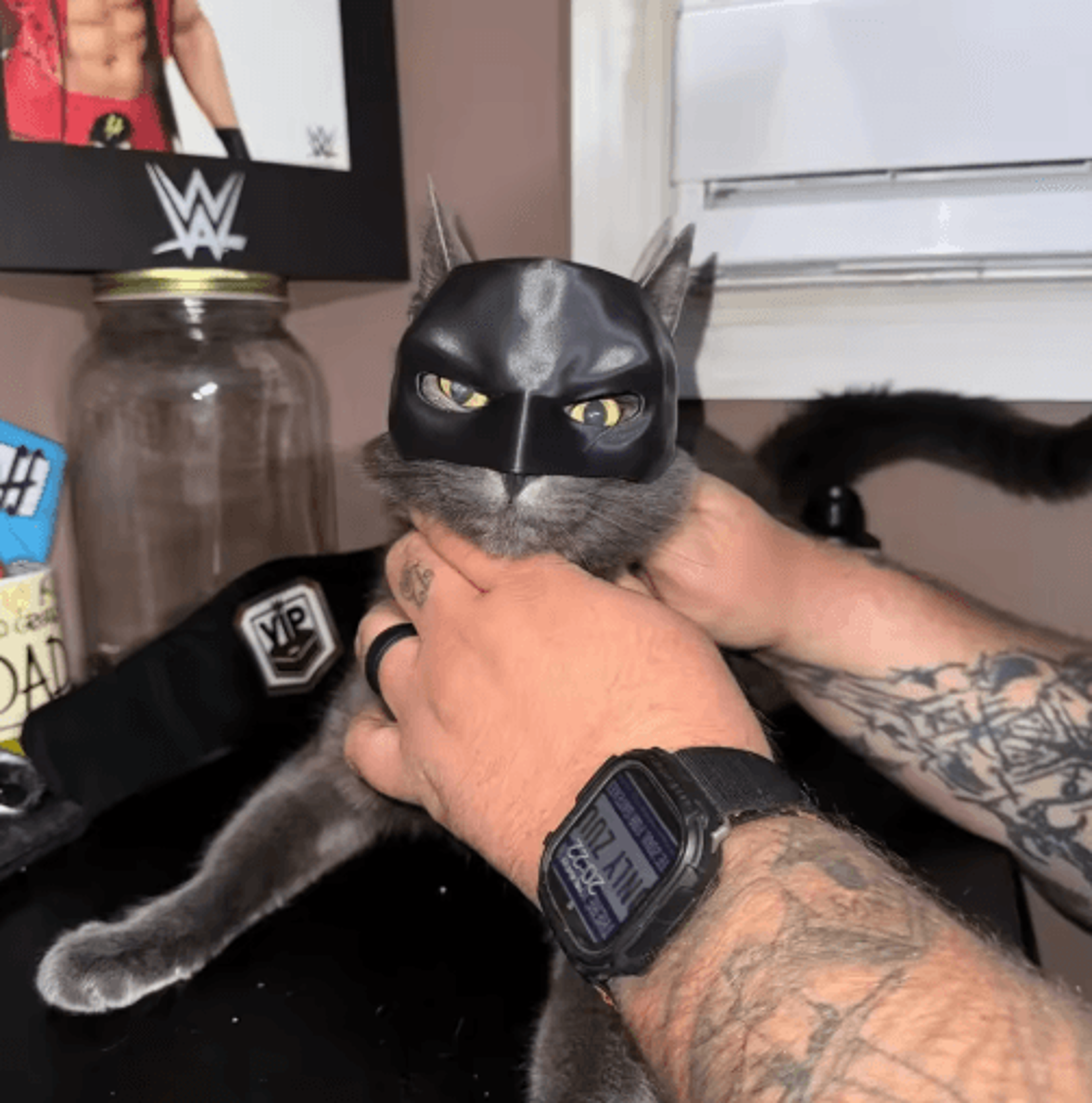 Cat Bat Superhero Mask Cute Matte Cat Avenger Costume Mask For Pets 13
