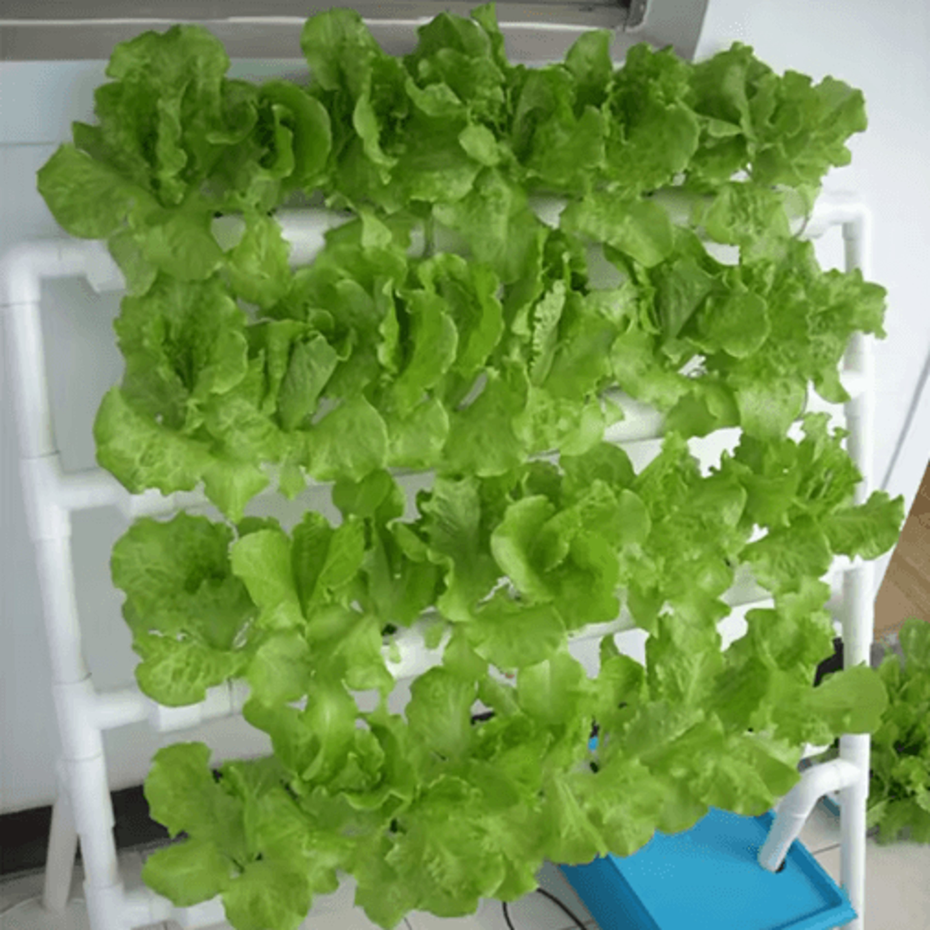 Vertical Hydroponic Flower Stand 3D Soilless Planting System For Vegetables And Balcony Gardening 5