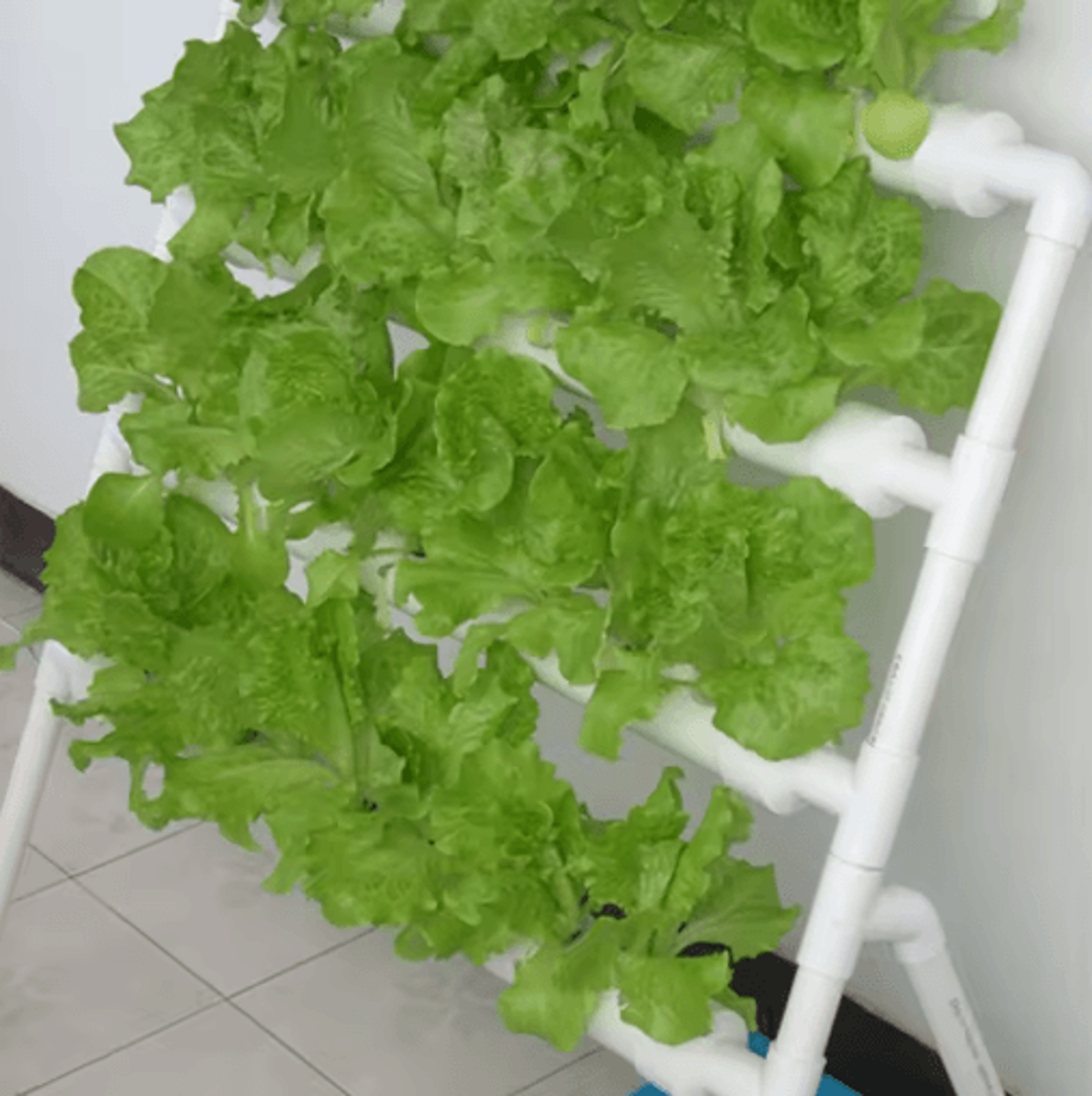 Vertical Hydroponic Flower Stand 3D Soilless Planting System For Vegetables And Balcony Gardening 6
