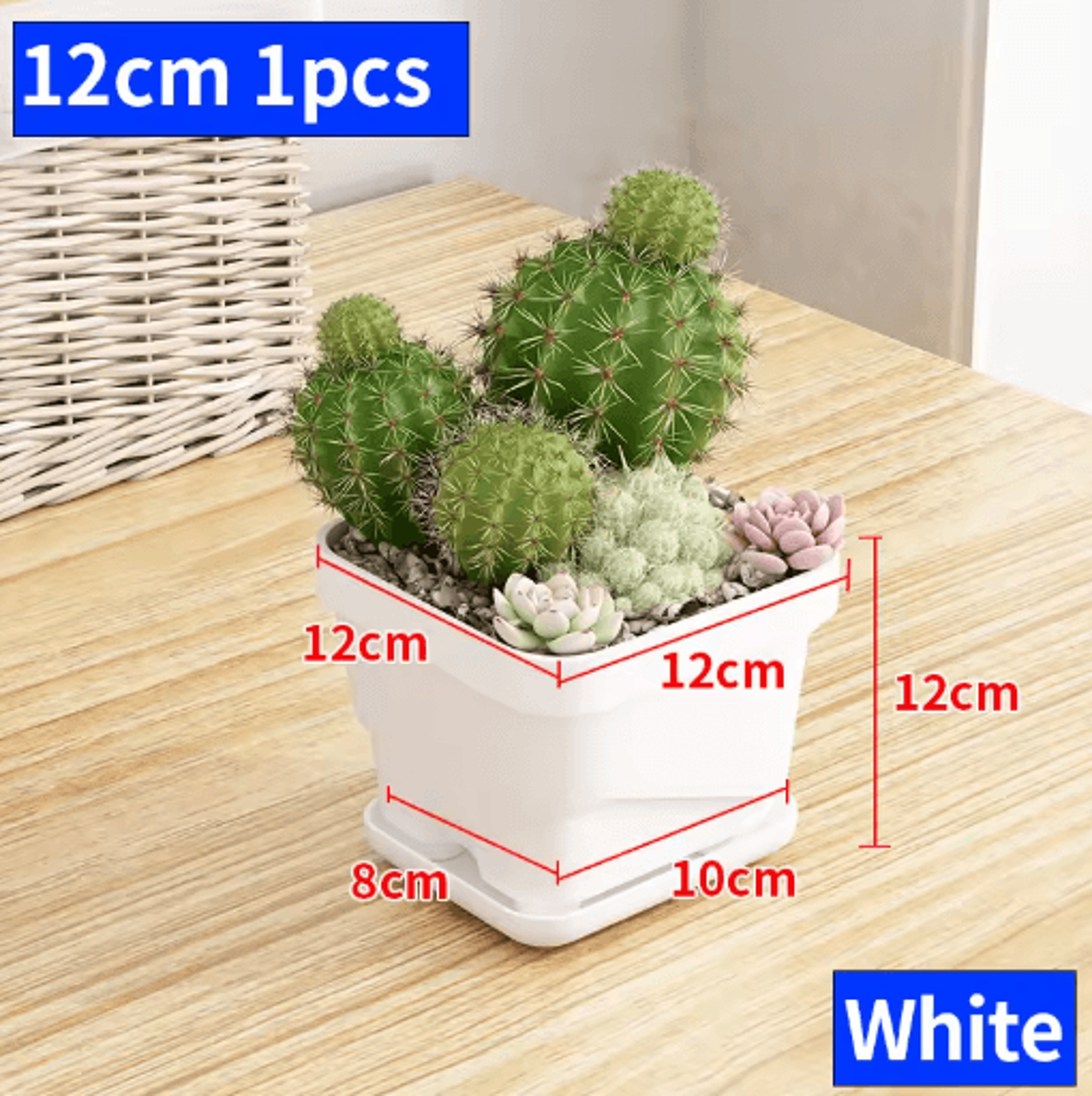 Square Ventilated Plastic Flower Pot Succulent Planter With Thick Drainage Tray 10