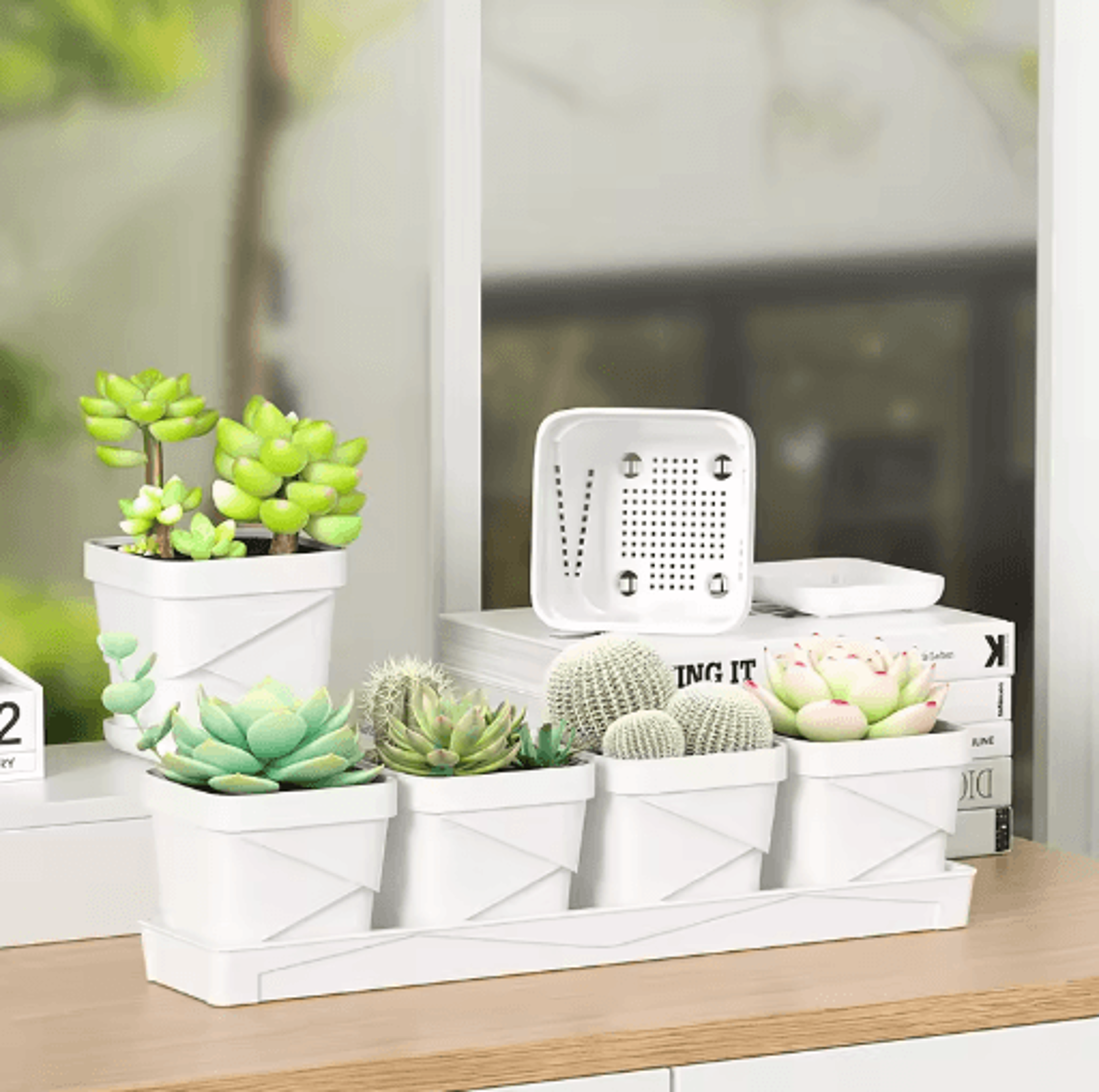 Square Ventilated Plastic Flower Pot Succulent Planter With Thick Drainage Tray 0