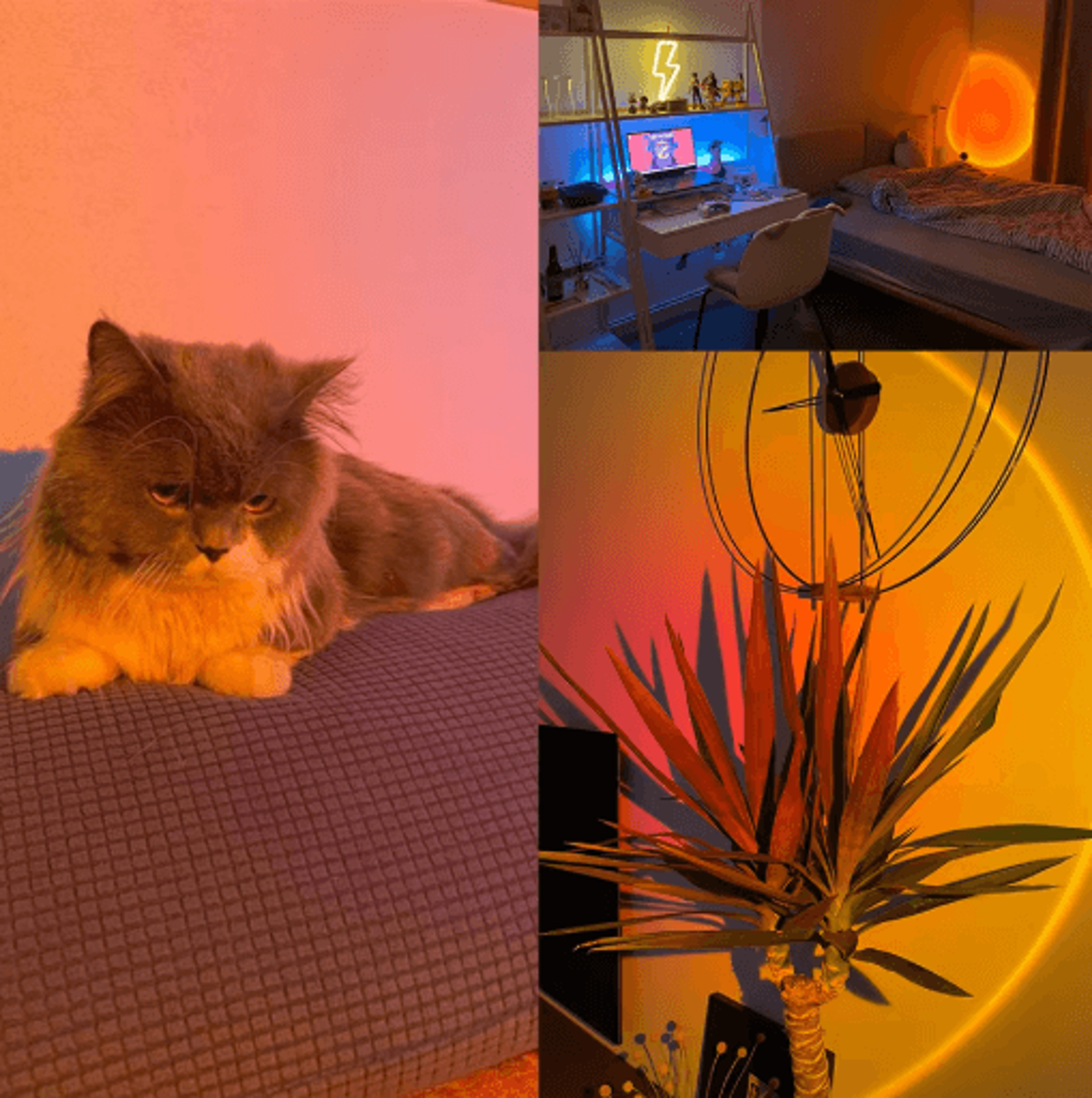 Smart Sunset Lamp Tuya RGB LED Projection Night Light With App And Remote Control 4