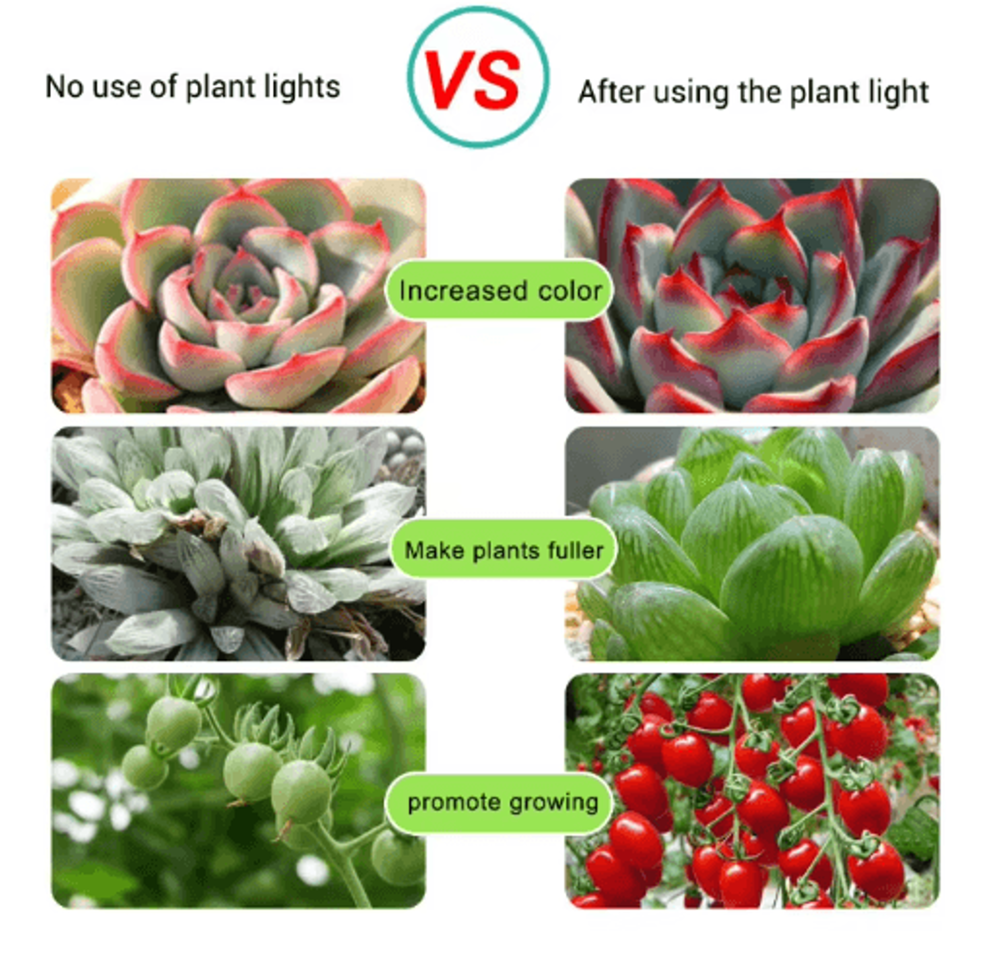 LED Grow Light Strip  Full Spectrum USB Phyto Lamp For Indoor Plants  Hydroponics 4