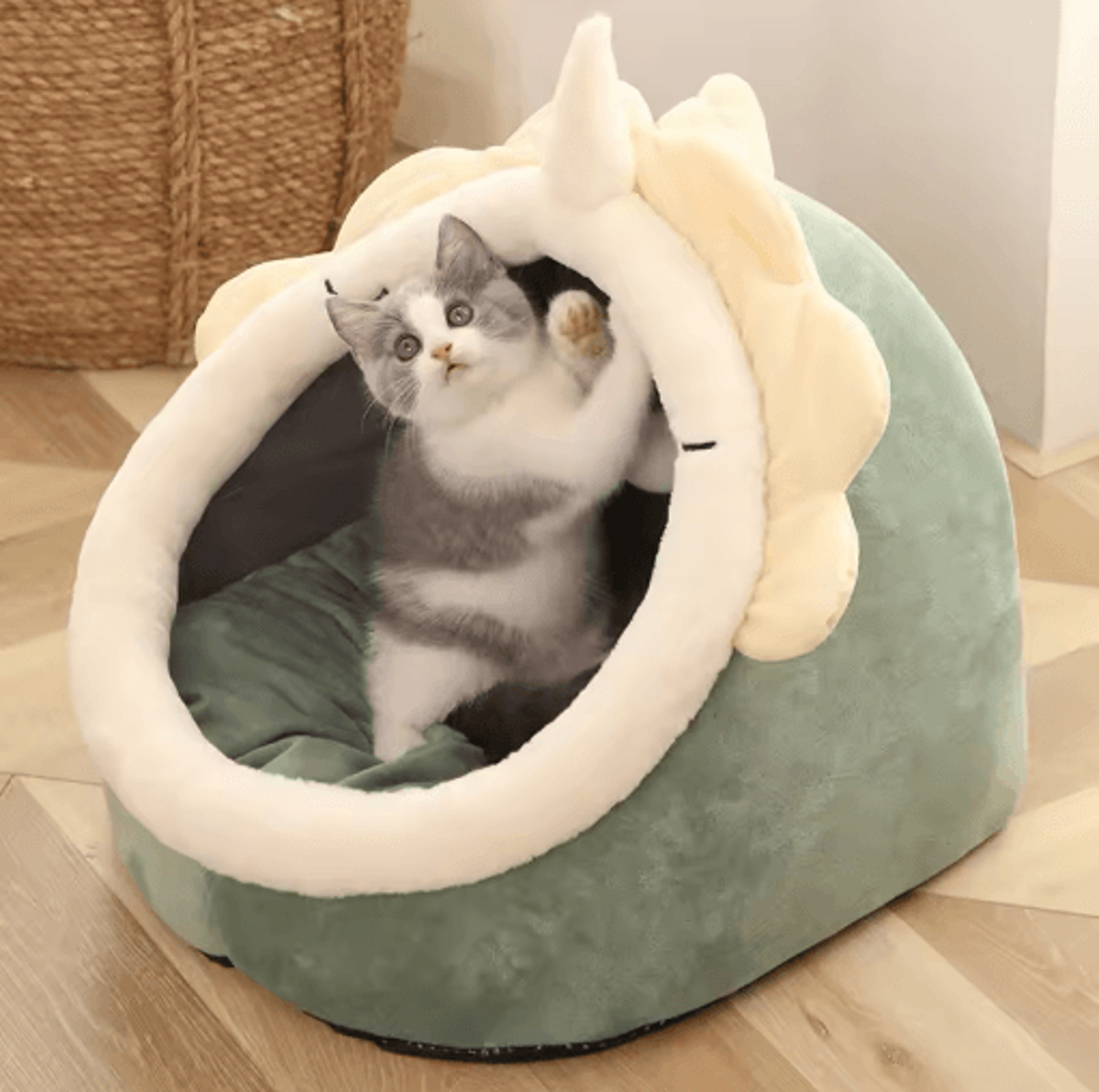 Deep Sleep Cartoon Cat Bed  Foldable Cave Pet Bed For Cats  Small Dogs 2
