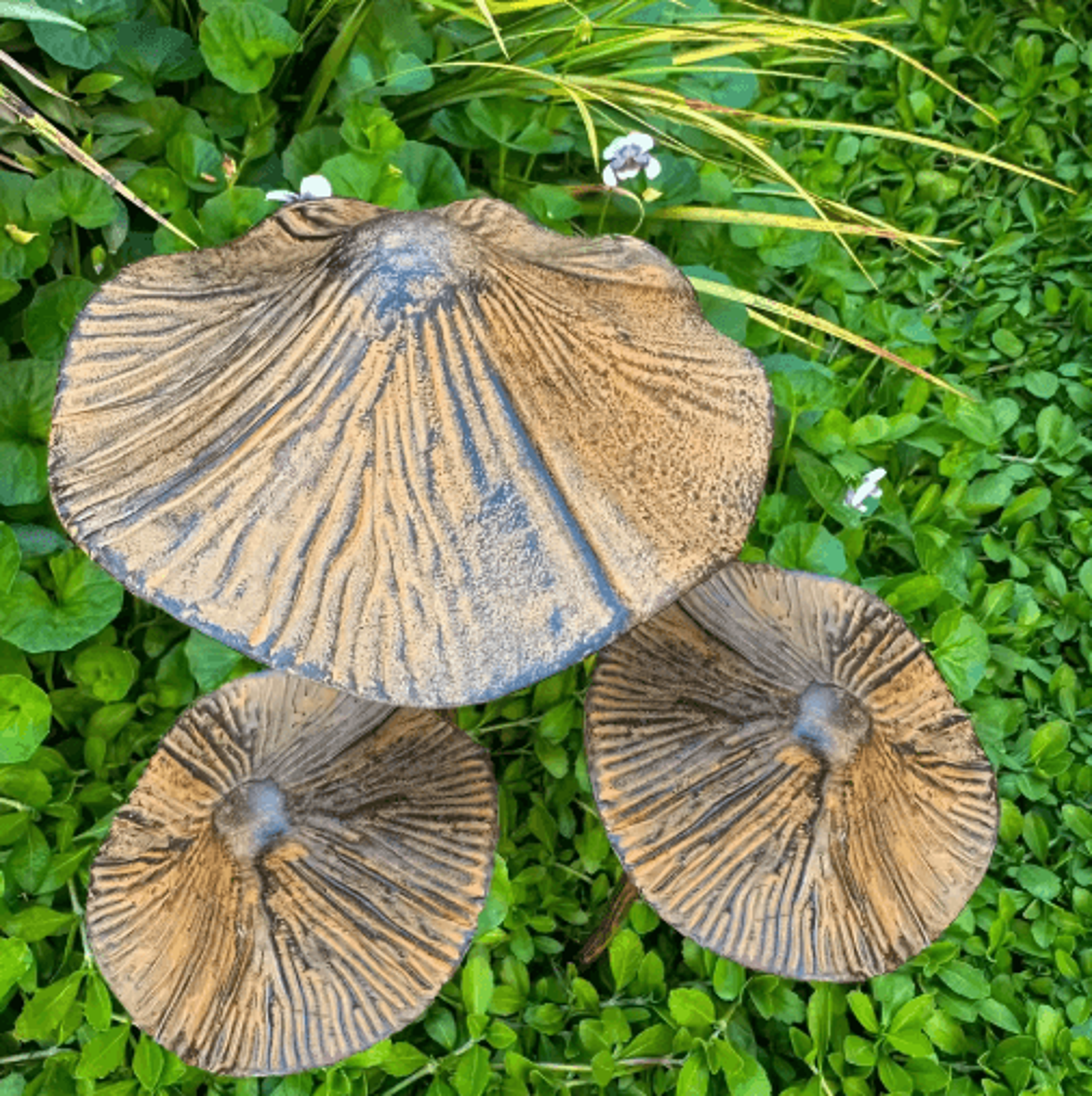 Retro Rusty Metal Mushroom Garden Decor 3Piece Set  Vintage Outdoor Mushroom Statues 0
