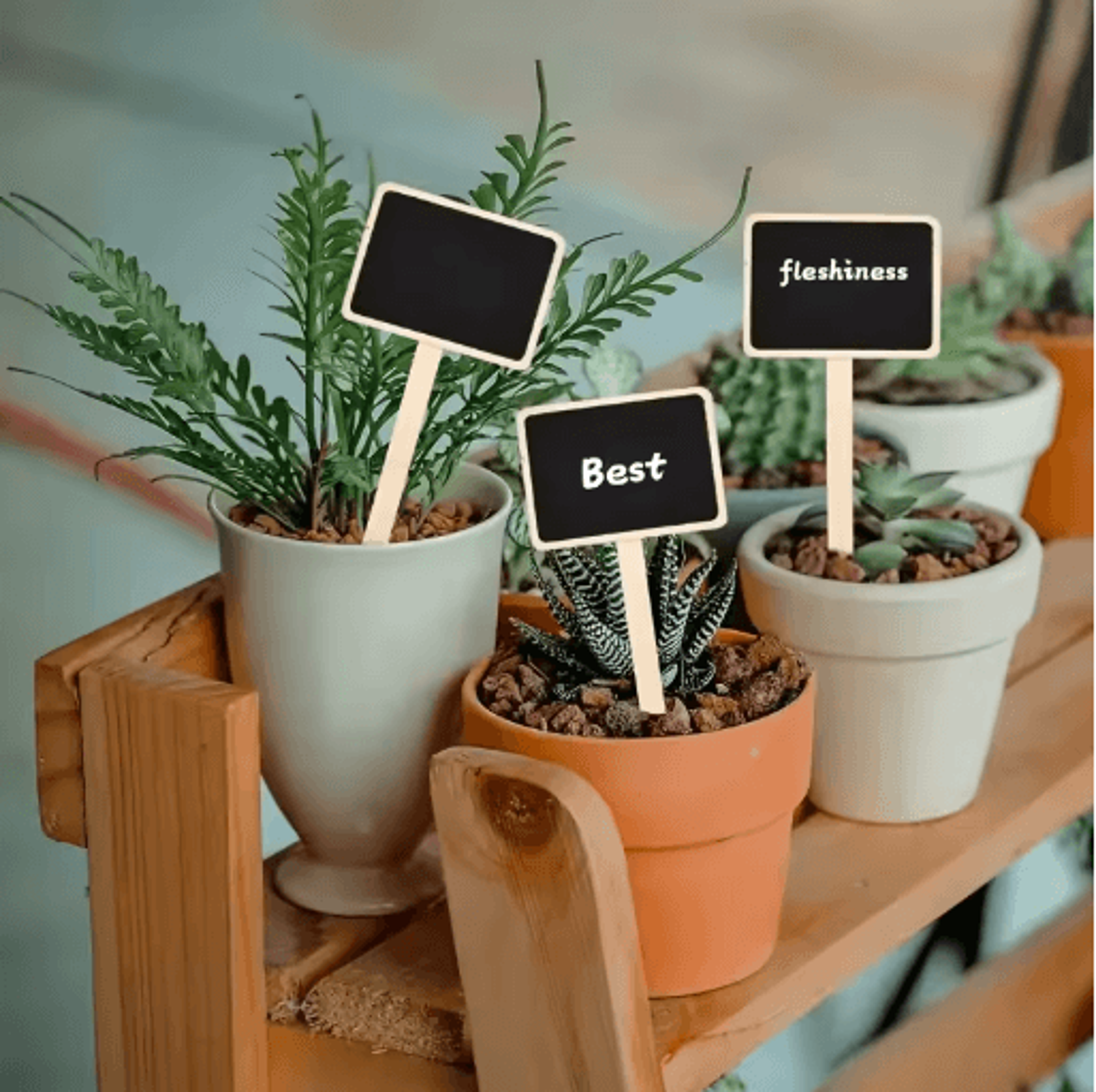 Rustic Wooden Plant Labels 10pcs And 20pcs T Shaped Blackboard Garden Signs For Plant Marking 0