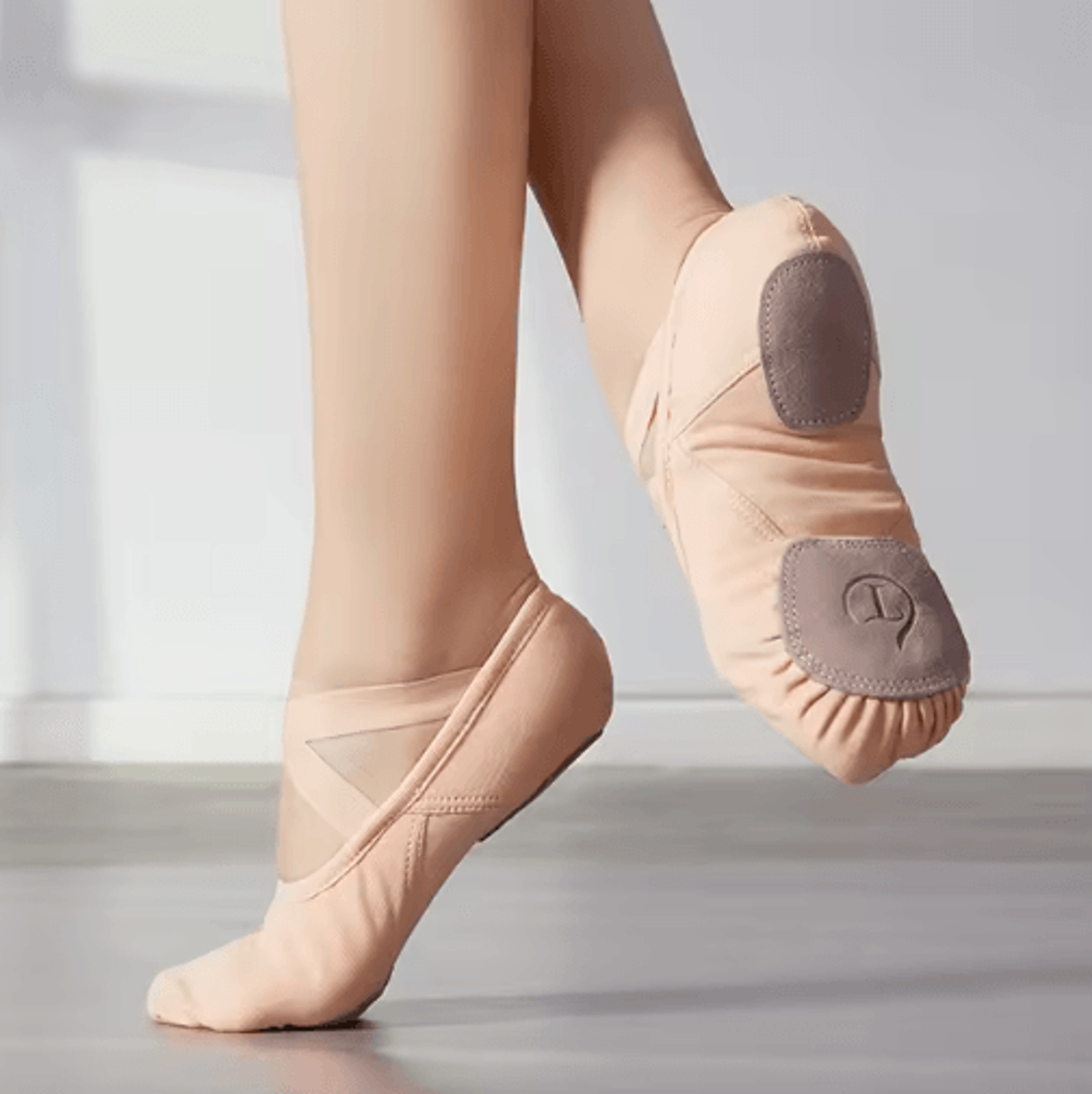 FlexGrace Elastic Ballet Dance Shoes With Soft Cat Claw Sole 0