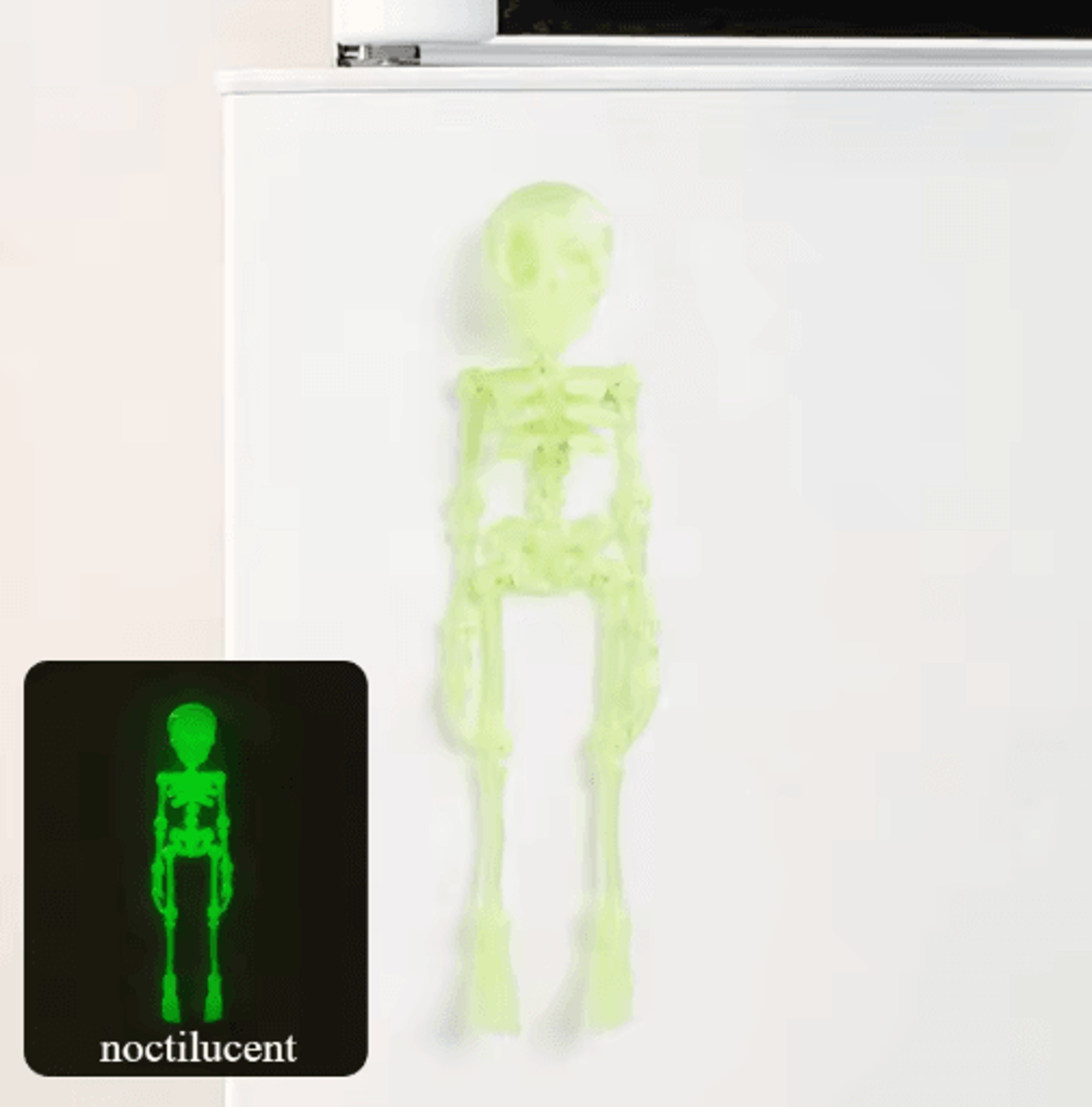 Poseable Magnetic Skull Fridge Magnet With Movable Joints 2