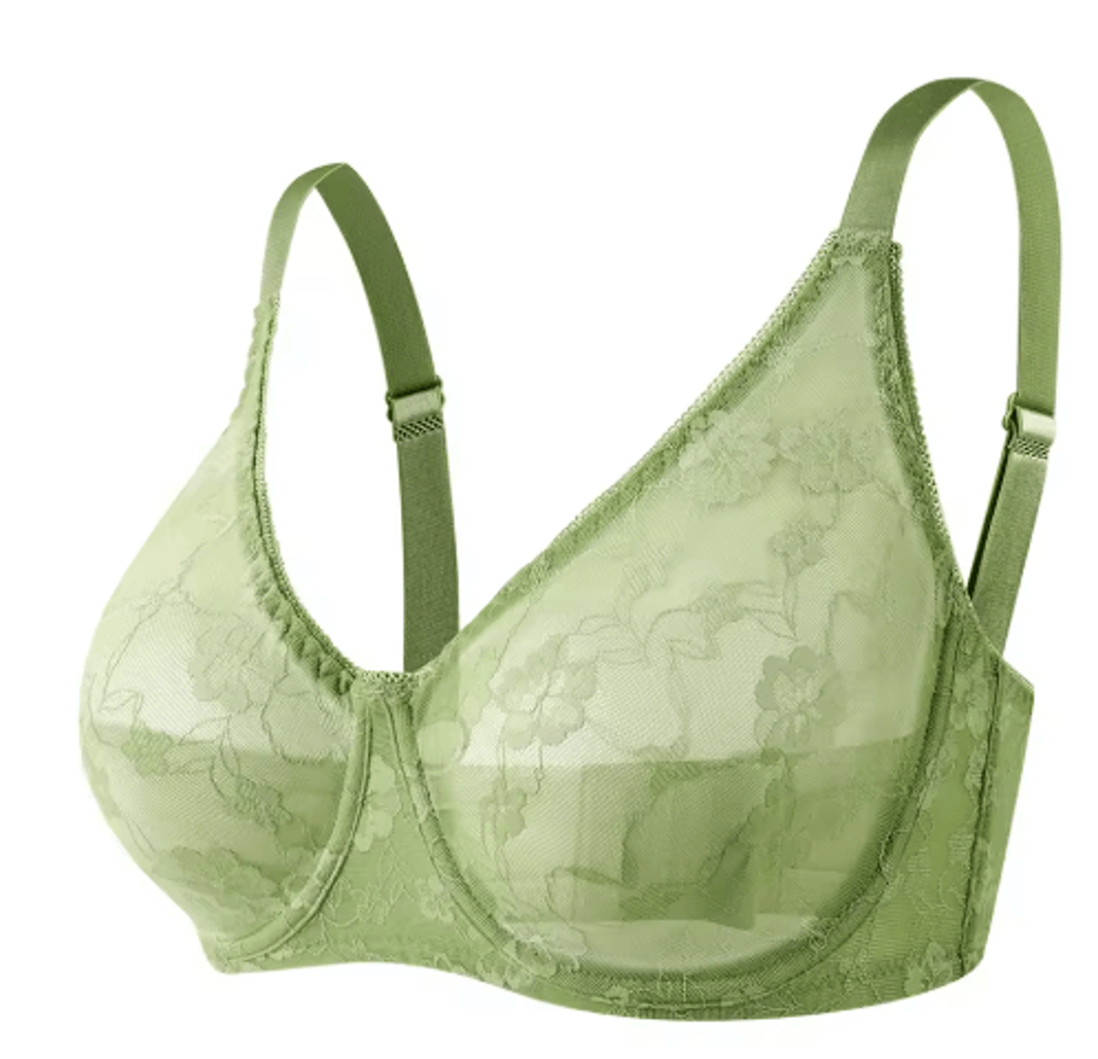 Sheer Lace Plus Size Underwire Bra For BF Cups 3