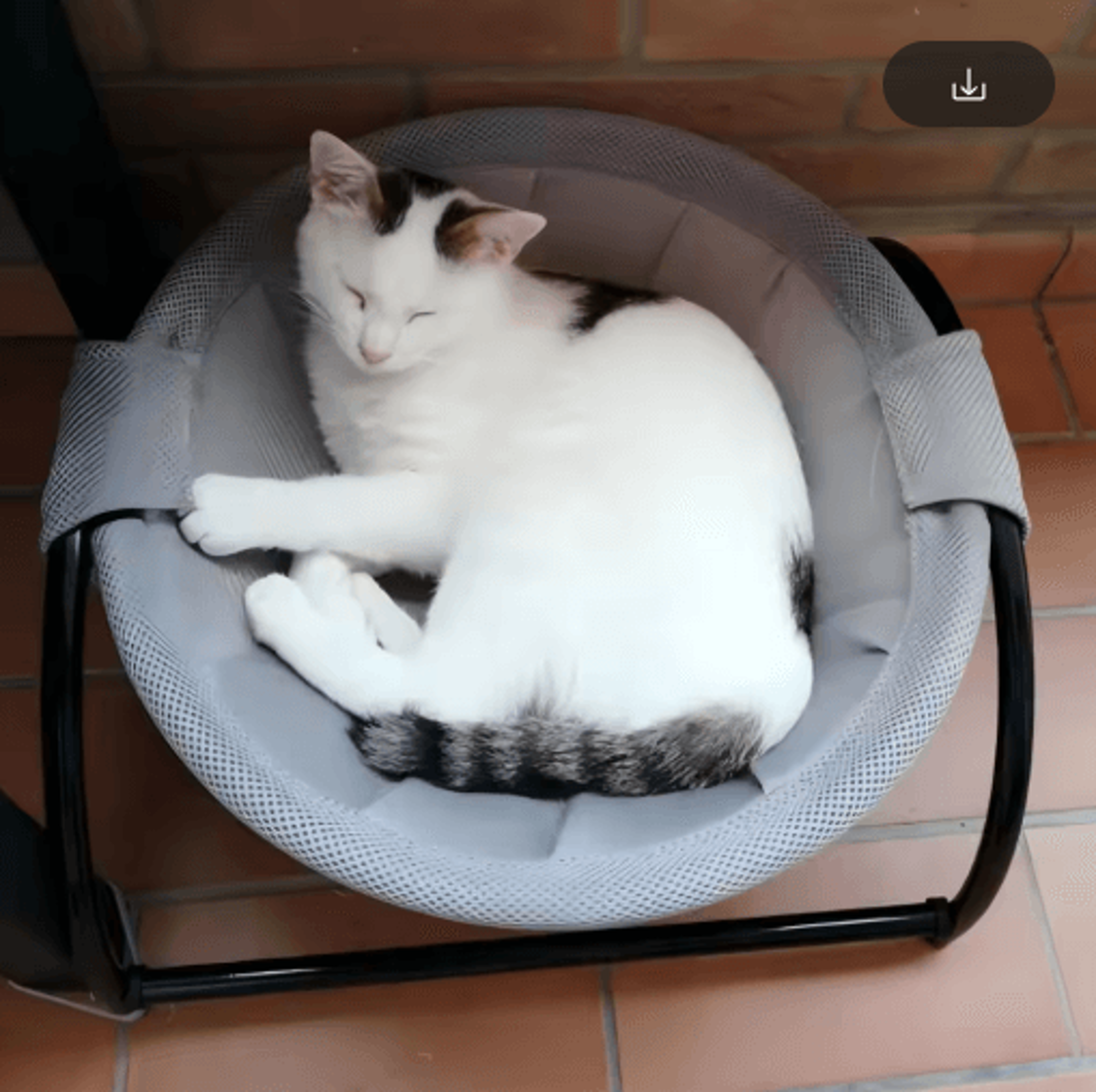 Cozy Lift Cat Hammock Bed Elevated Pet Hanging Bed For Deep Sleep  Easy Cleaning 8