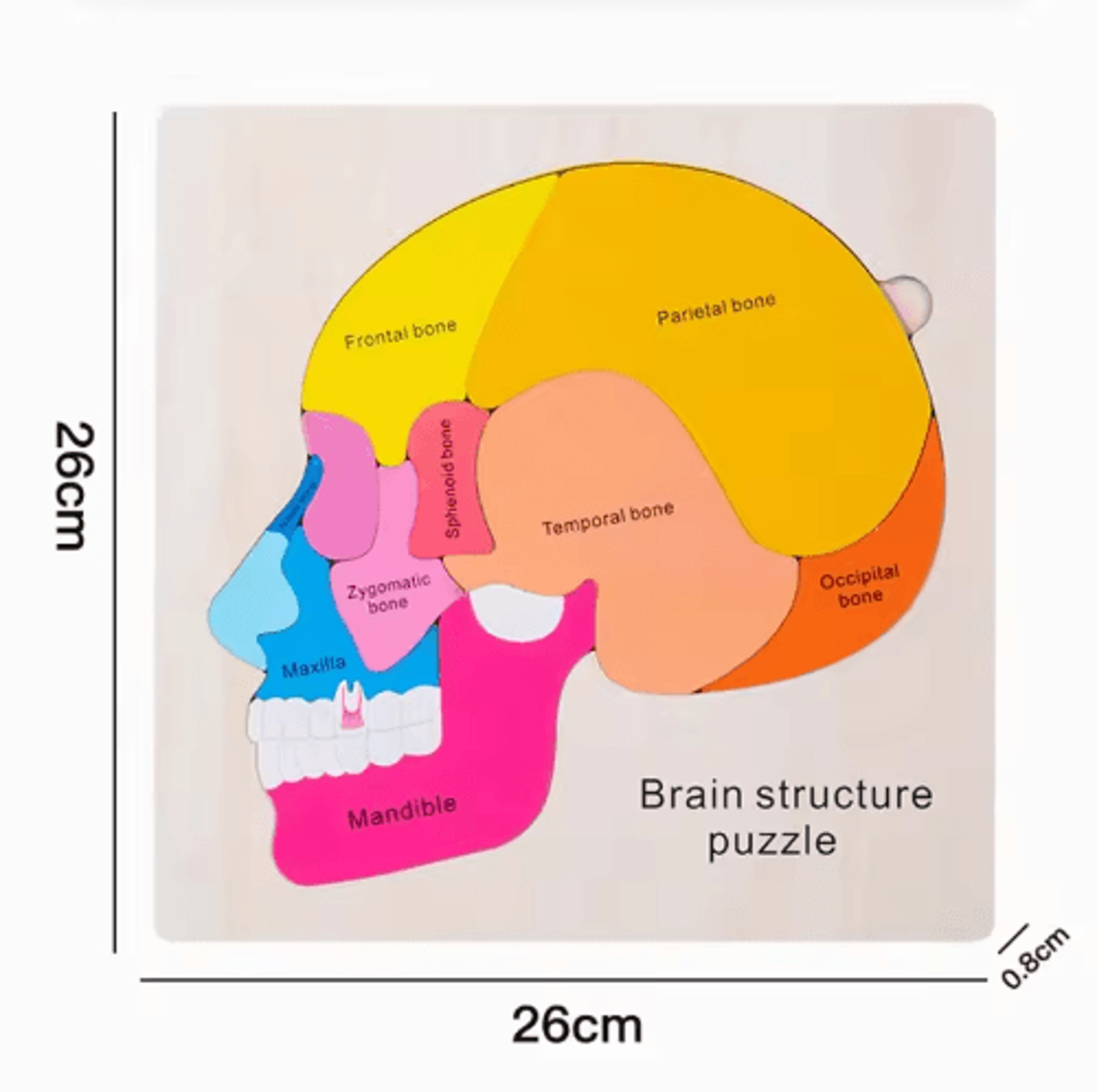 Montessori Human Body Busy Board  Educational Puzzle  Body Parts Learning Toy For Toddlers 1