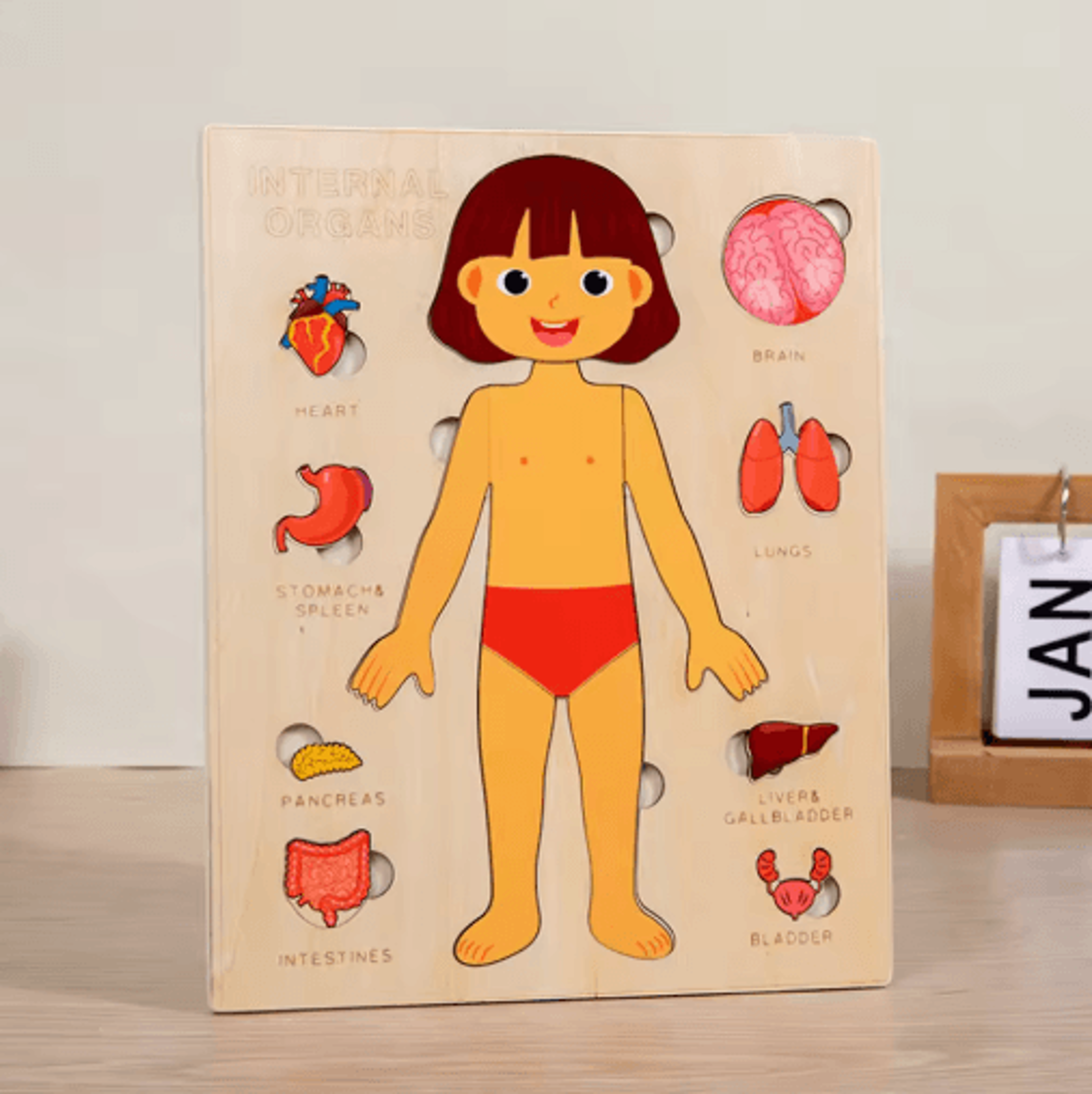 Montessori Human Body Busy Board  Educational Puzzle  Body Parts Learning Toy For Toddlers 2